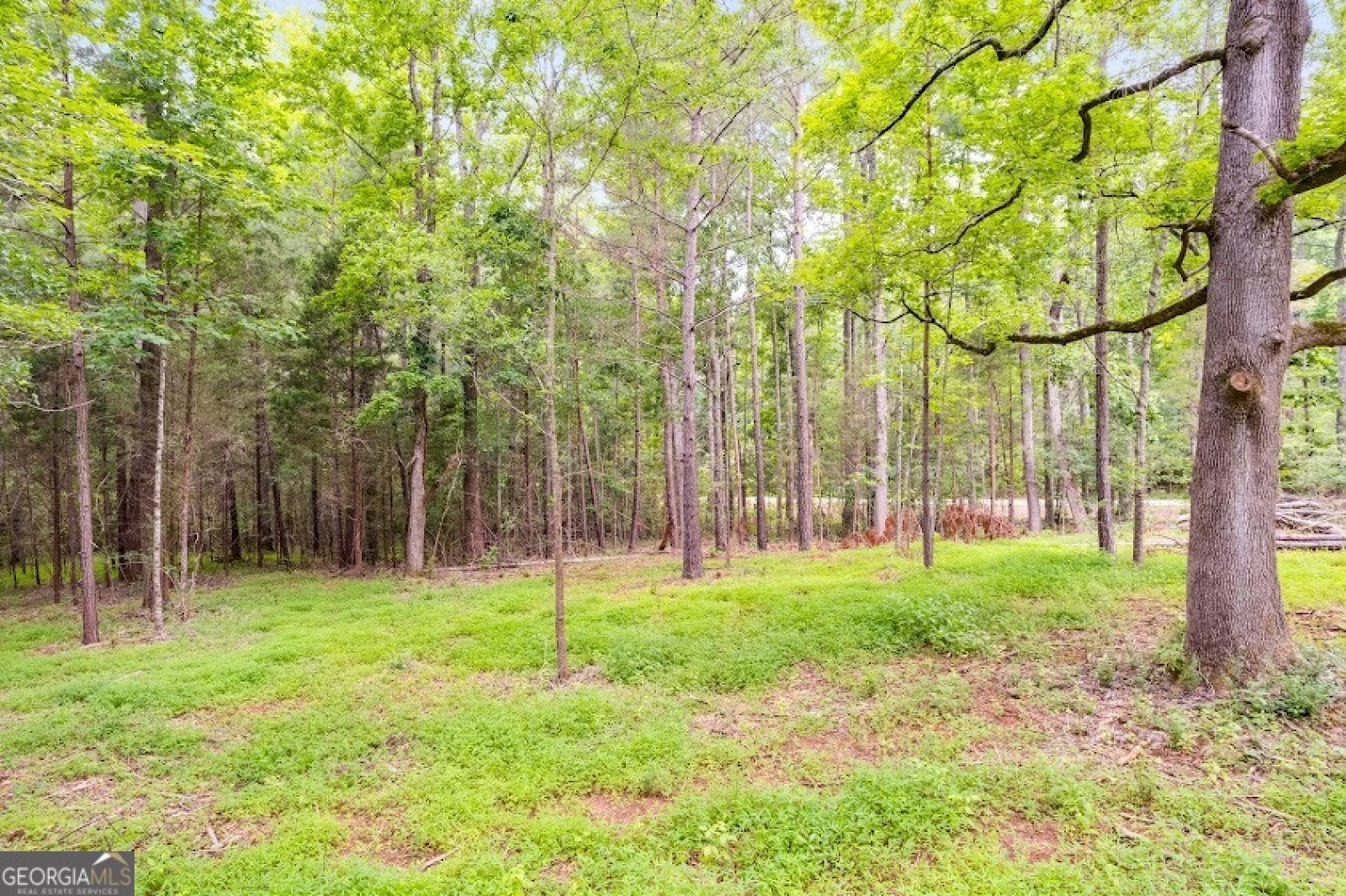 0 Handy Rd, Newnan, Georgia 30263, ,Land,For Sale,Handy Rd,9132118