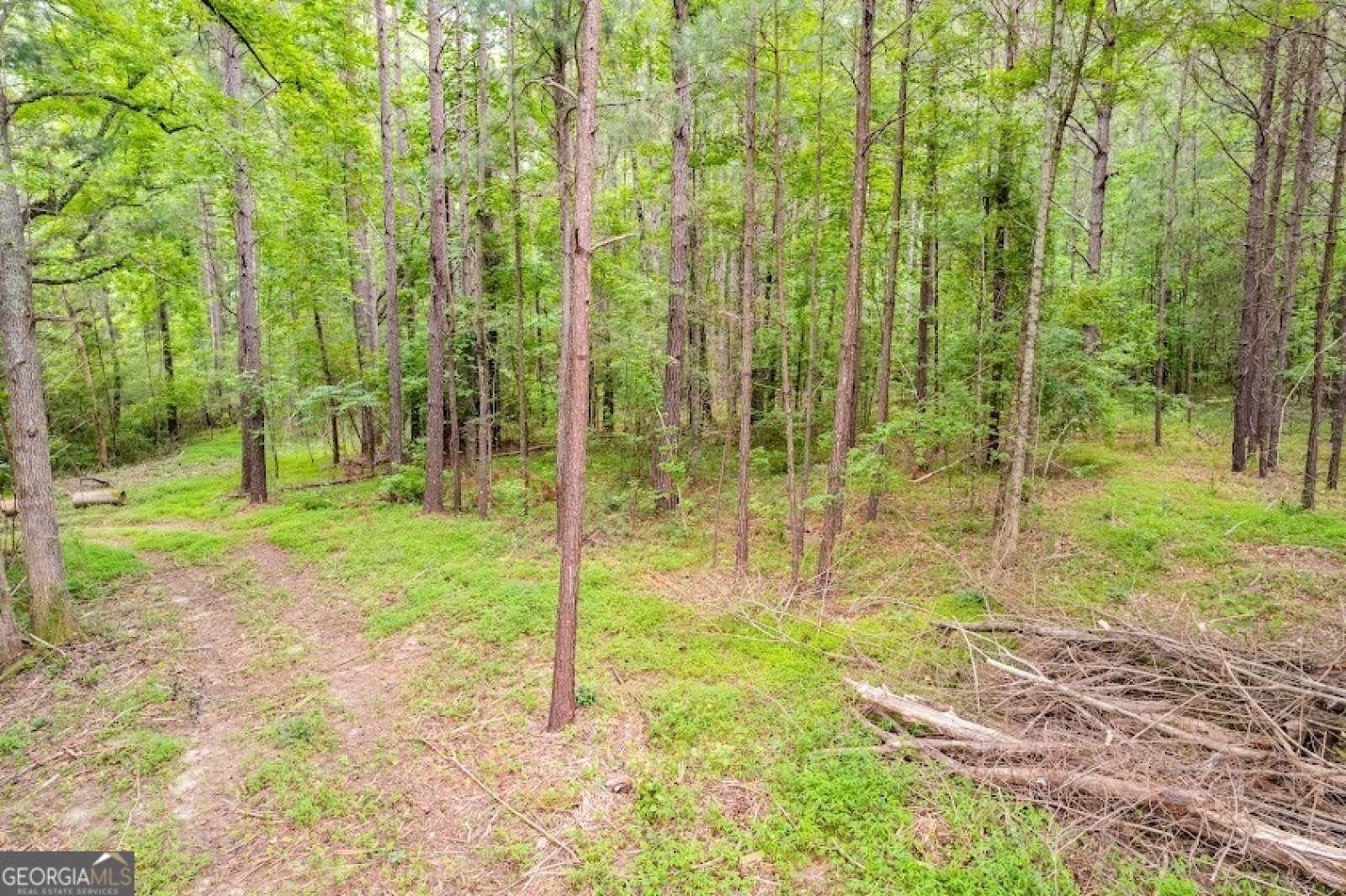 0 Handy Rd, Newnan, Georgia 30263, ,Land,For Sale,Handy Rd,9132118