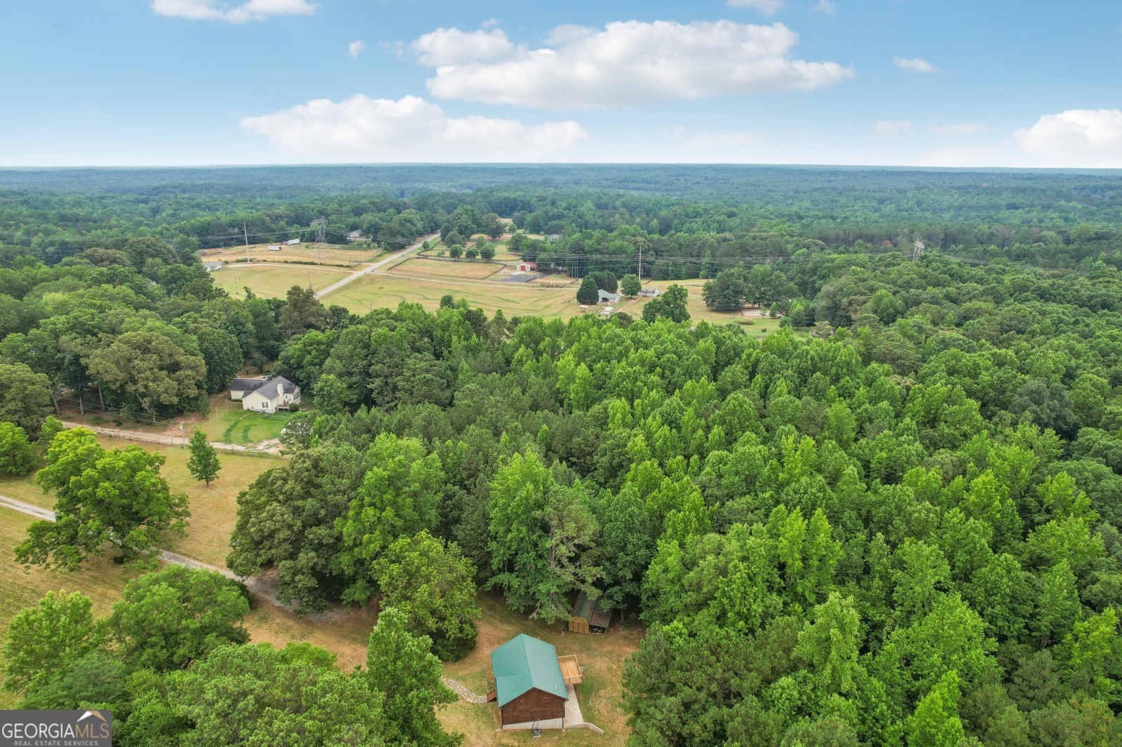 1266 Martin Mill Road, Moreland, Georgia 30259, 2 Bedrooms Bedrooms, ,2 BathroomsBathrooms,Residential,For Sale,Martin Mill,9132165