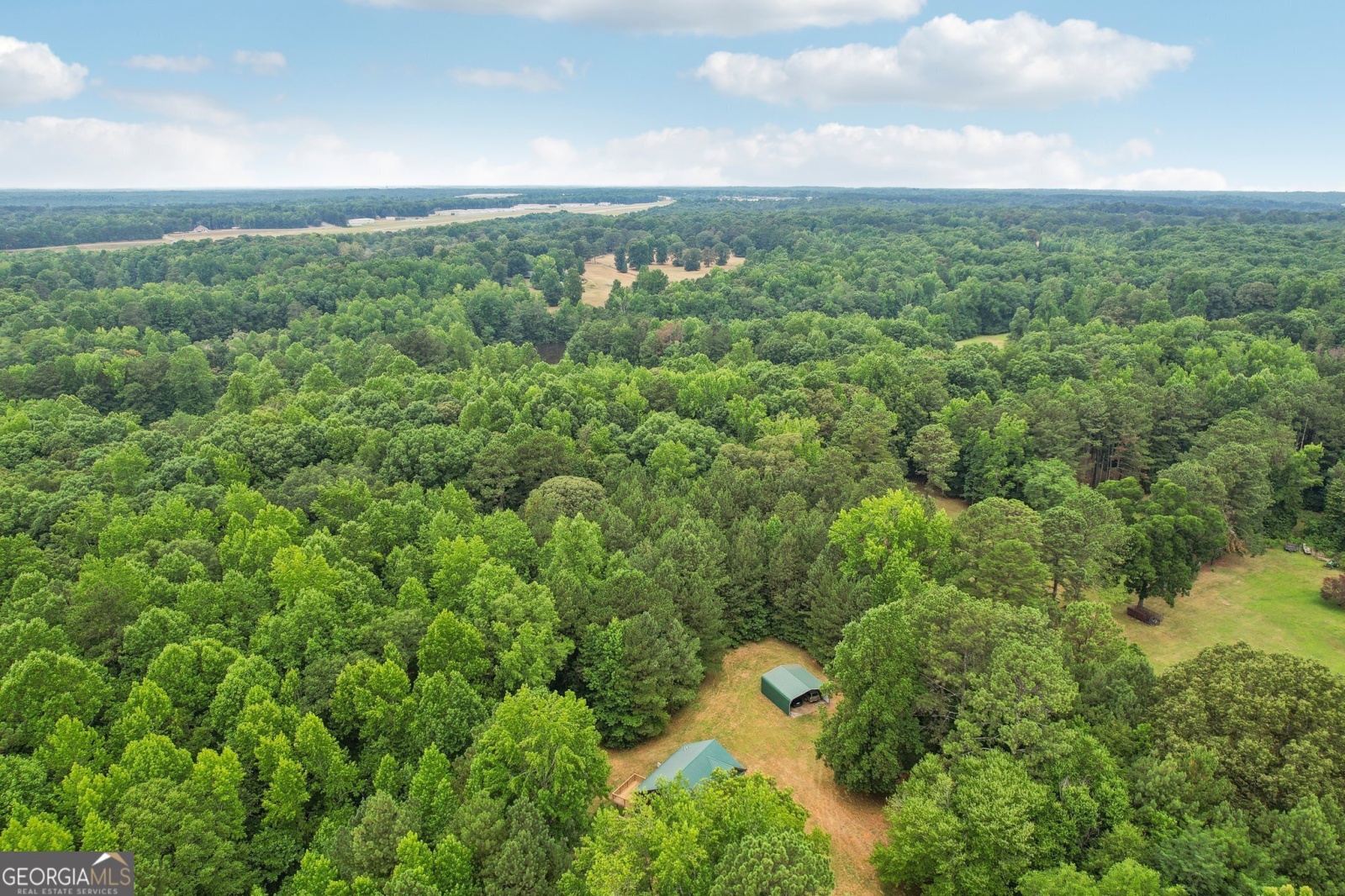 1266 Martin Mill Road, Moreland, Georgia 30259, 2 Bedrooms Bedrooms, ,2 BathroomsBathrooms,Residential,For Sale,Martin Mill,9132165