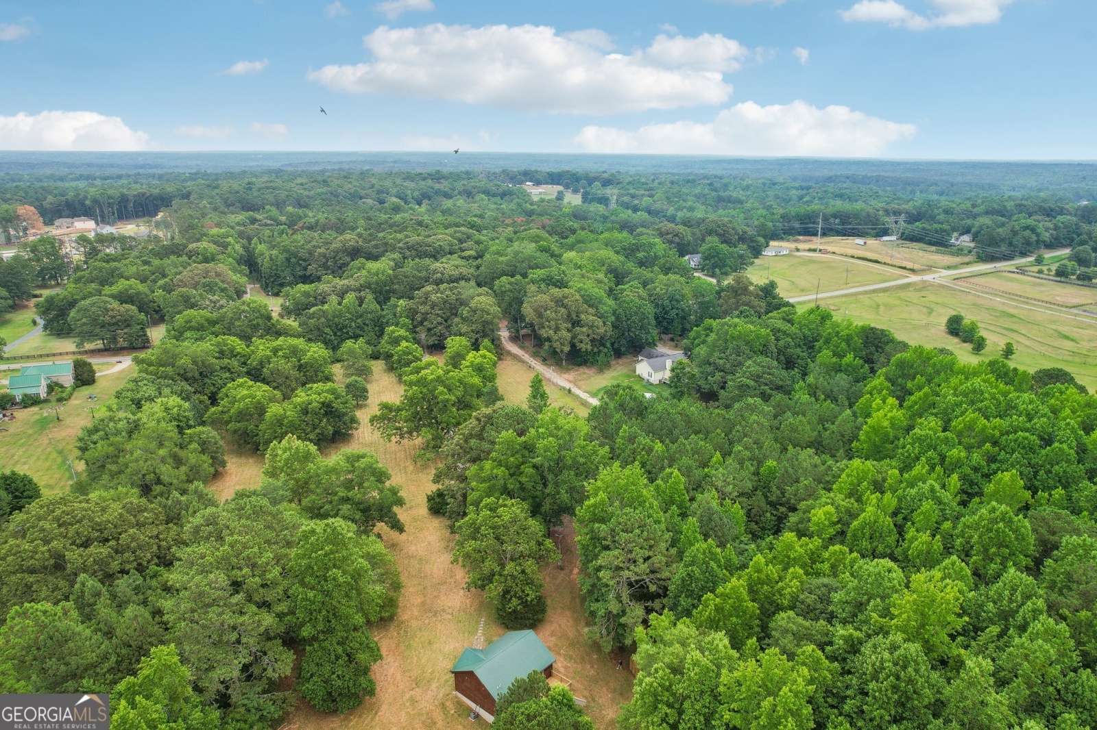 1266 Martin Mill Road, Moreland, Georgia 30259, 2 Bedrooms Bedrooms, ,2 BathroomsBathrooms,Residential,For Sale,Martin Mill,9132165