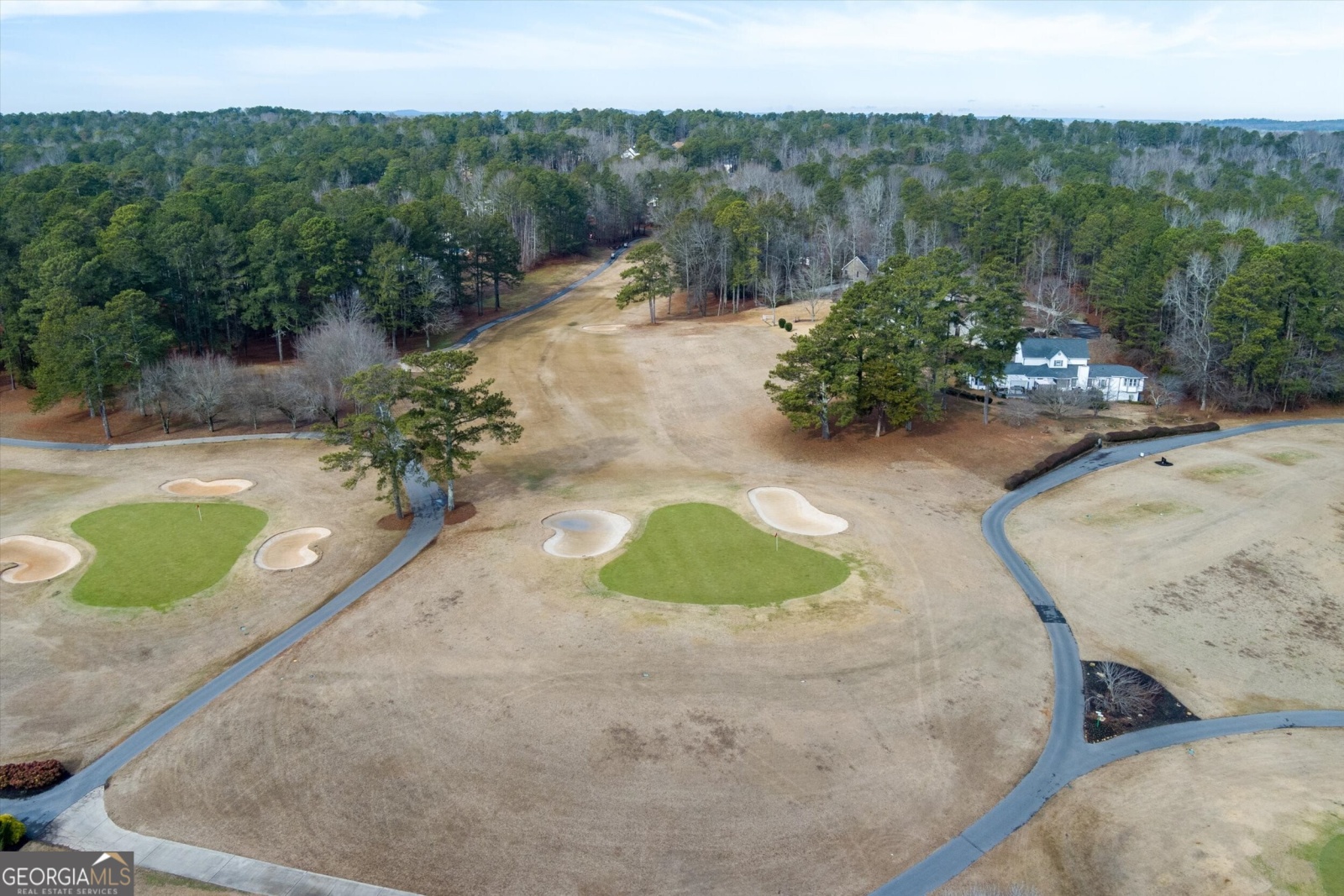 10036 Burford Court, Villa Rica, Georgia 30180, ,Land,For Sale,Burford,9132451