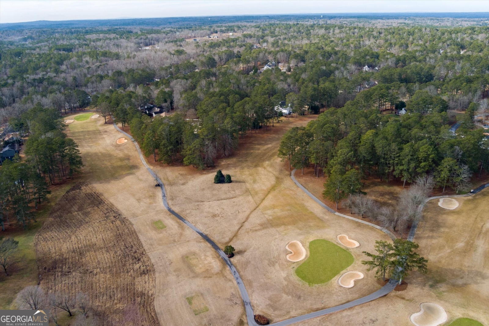 10036 Burford Court, Villa Rica, Georgia 30180, ,Land,For Sale,Burford,9132451