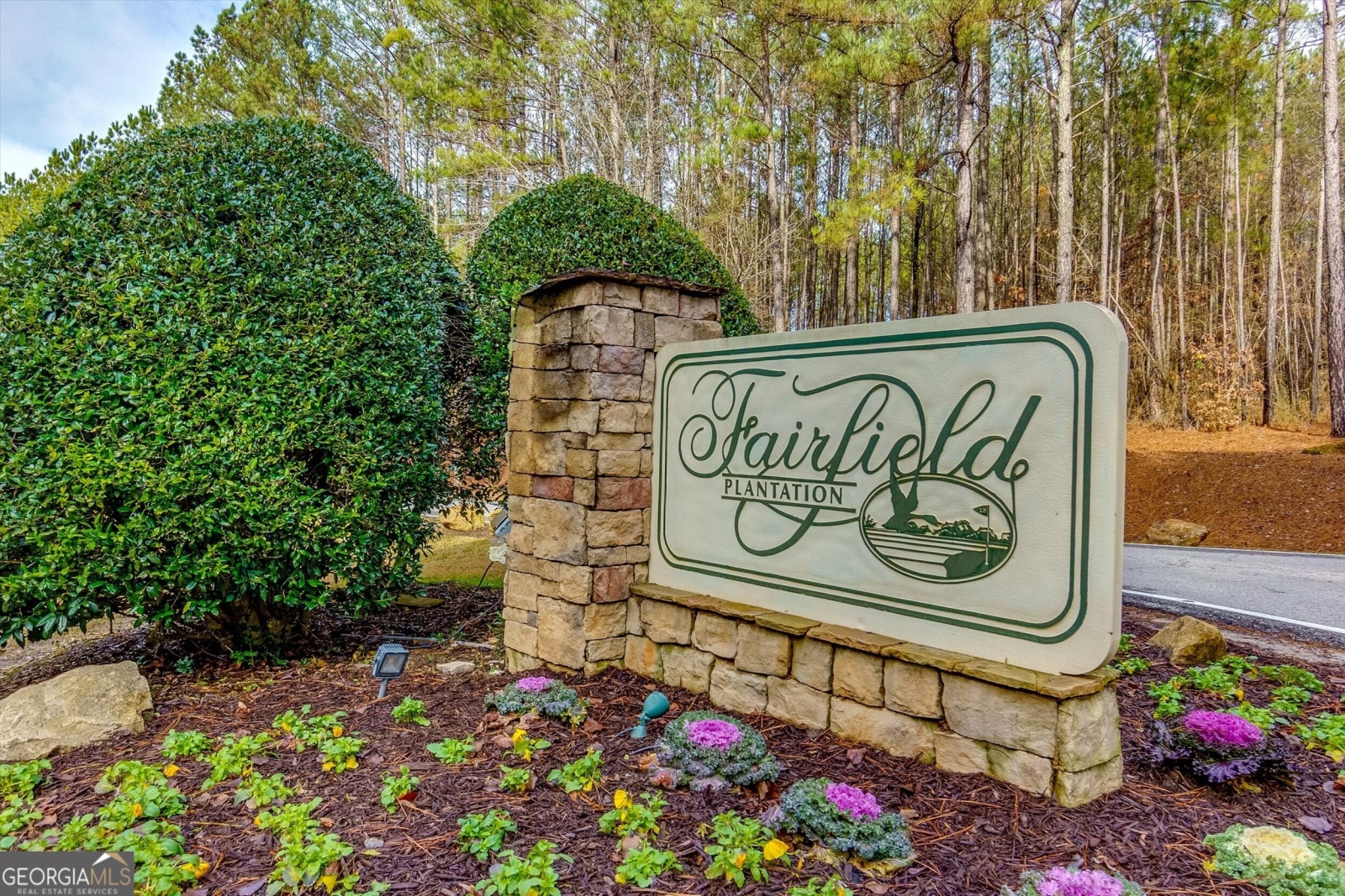 10036 Burford Court, Villa Rica, Georgia 30180, ,Land,For Sale,Burford,9132451