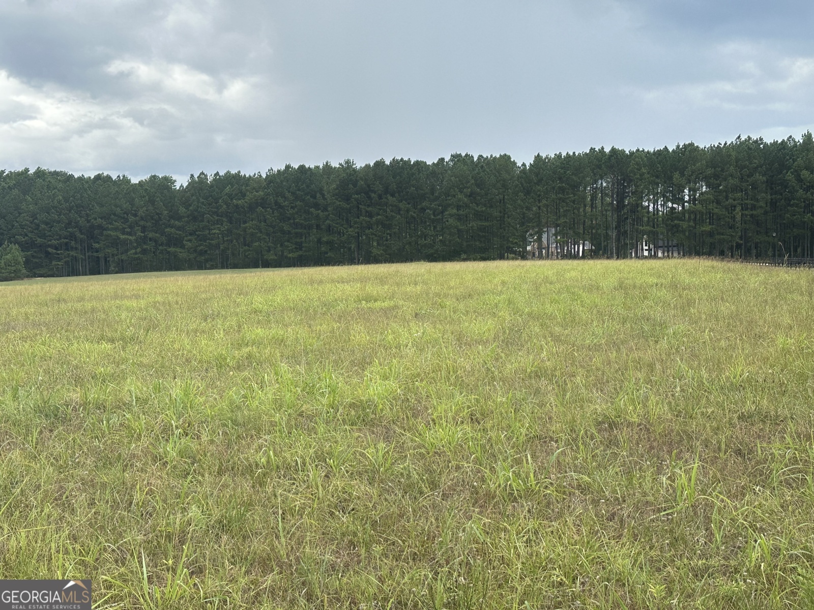 0 Lawshe Road, Senoia, Georgia 30276, ,Land,For Sale,Lawshe Road,9132453