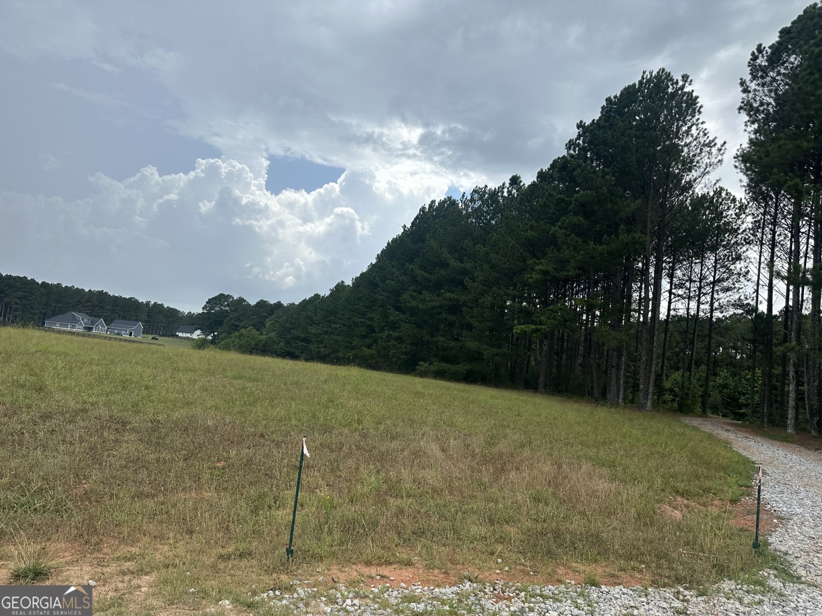 0 Lawshe Road, Senoia, Georgia 30276, ,Land,For Sale,Lawshe Road,9132453