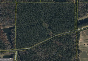 000 Fern Road, Woodbury, Georgia 30293, ,Land,For Sale,Fern,9132462