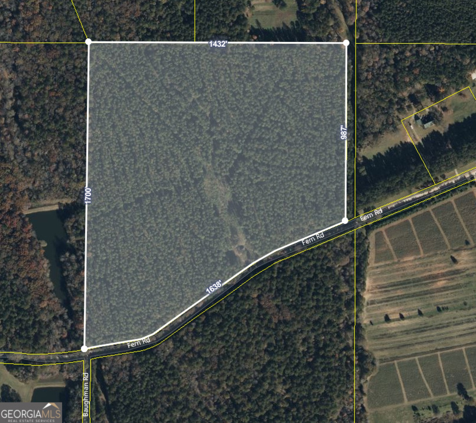 000 Fern Road, Woodbury, Georgia 30293, ,Land,For Sale,Fern,9132462