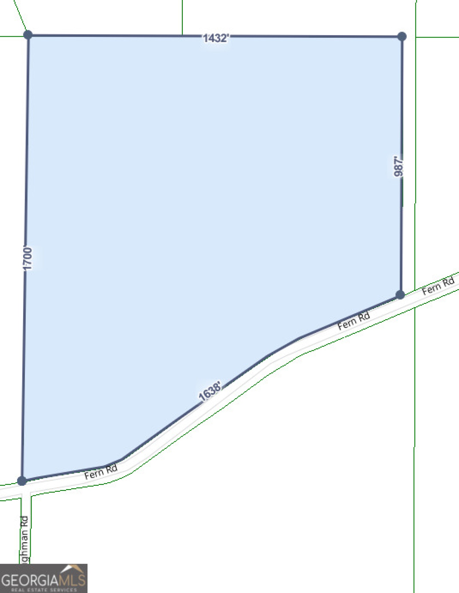 000 Fern Road, Woodbury, Georgia 30293, ,Land,For Sale,Fern,9132462