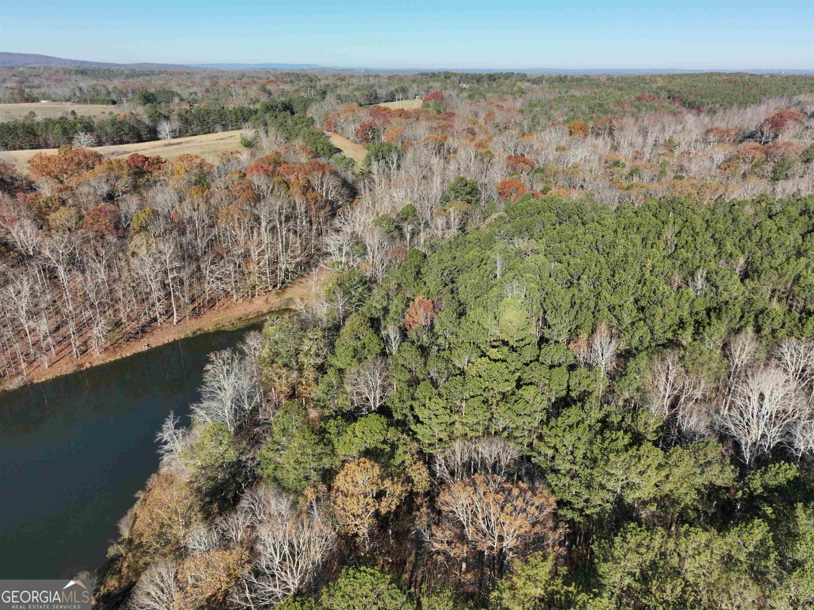 1200 Stoney Point Road, Roopville, Georgia 30170, ,Land,For Sale,Stoney Point,9132677