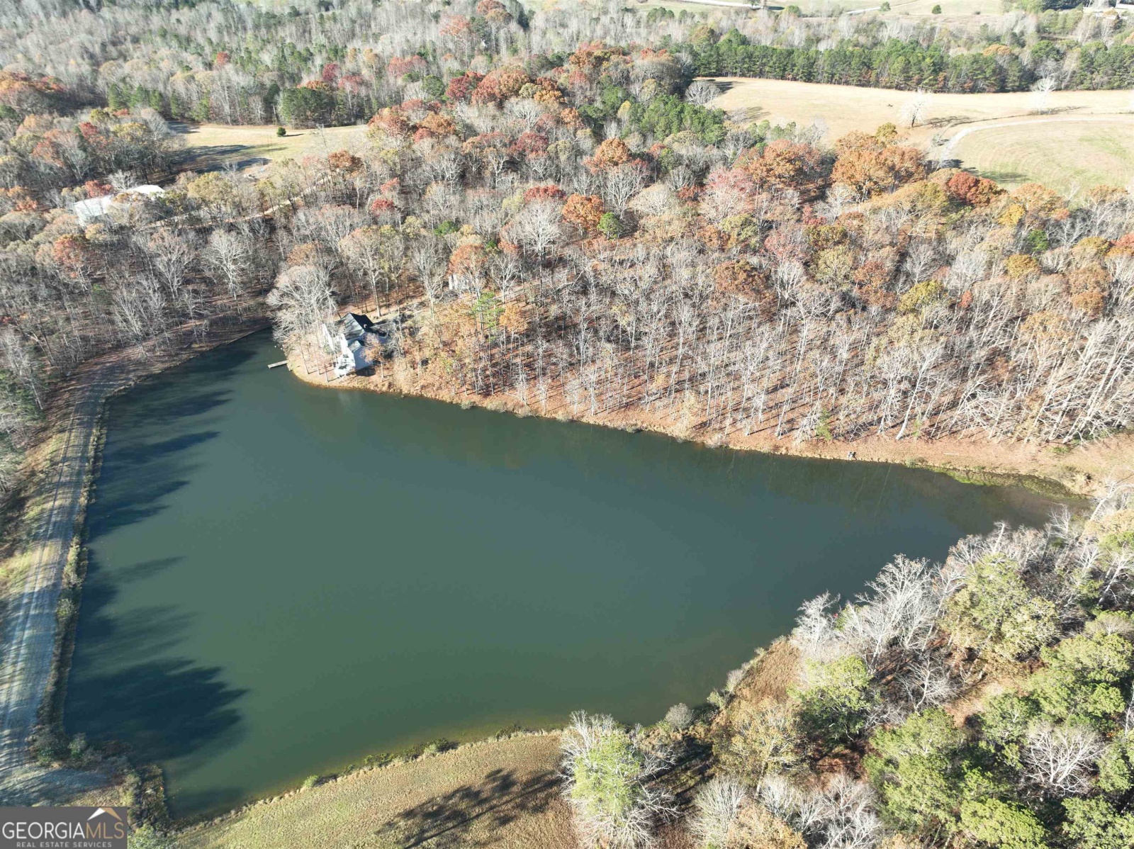 1200 Stoney Point Road, Roopville, Georgia 30170, ,Land,For Sale,Stoney Point,9132677