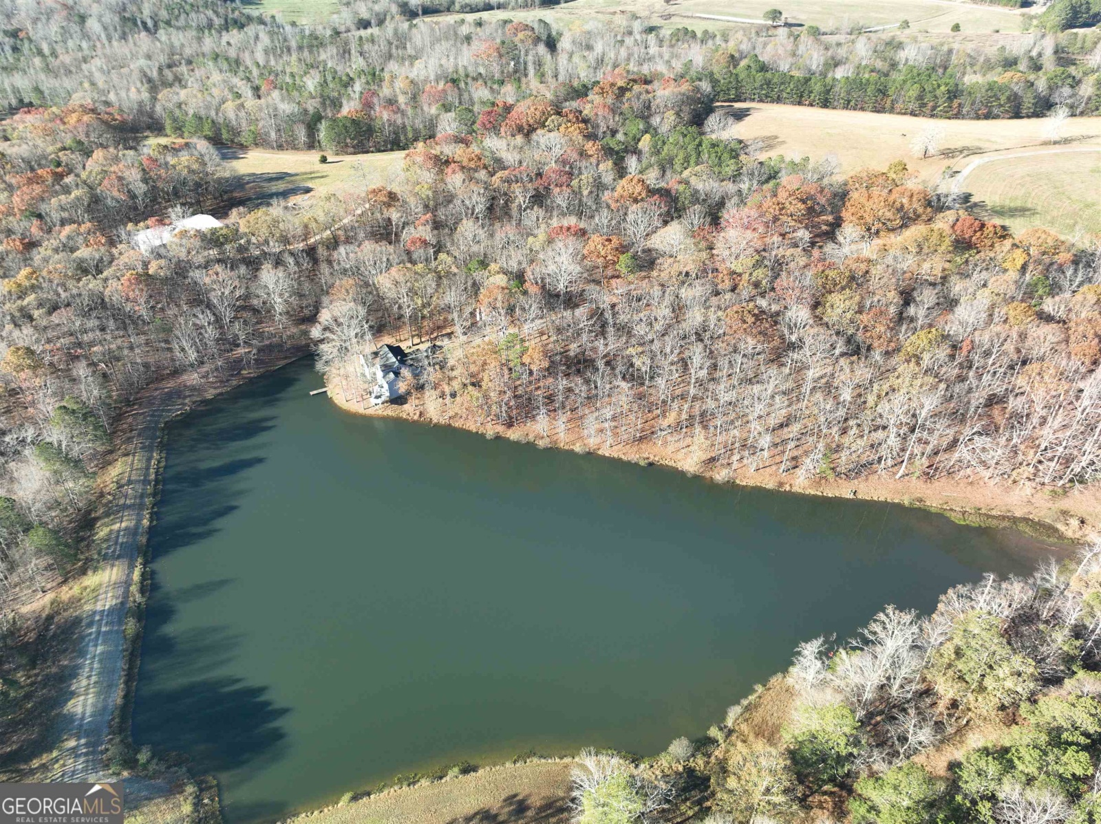 1200 Stoney Point Road, Roopville, Georgia 30170, ,Land,For Sale,Stoney Point,9132677