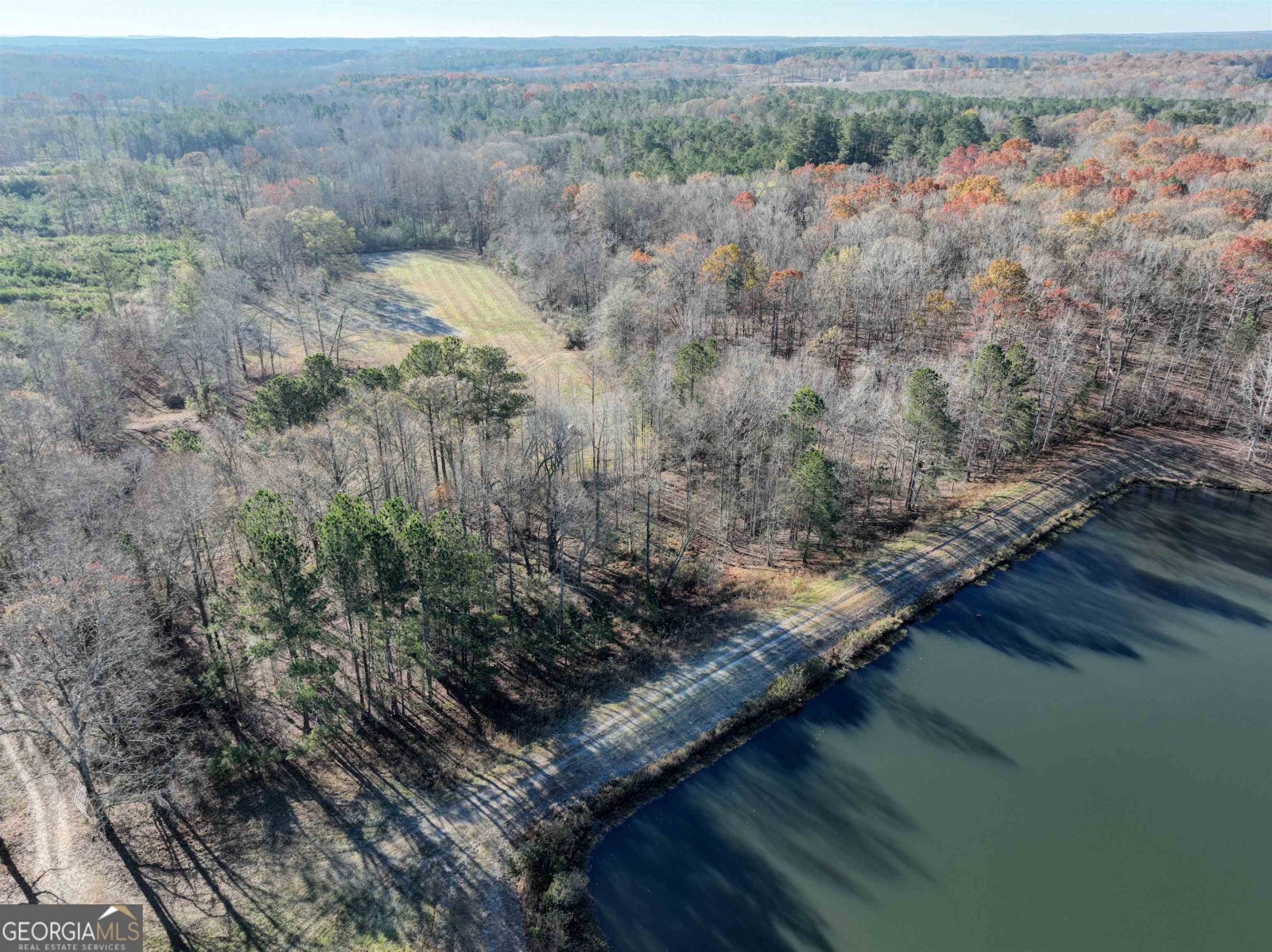 1200 Stoney Point Road, Roopville, Georgia 30170, ,Land,For Sale,Stoney Point,9132677