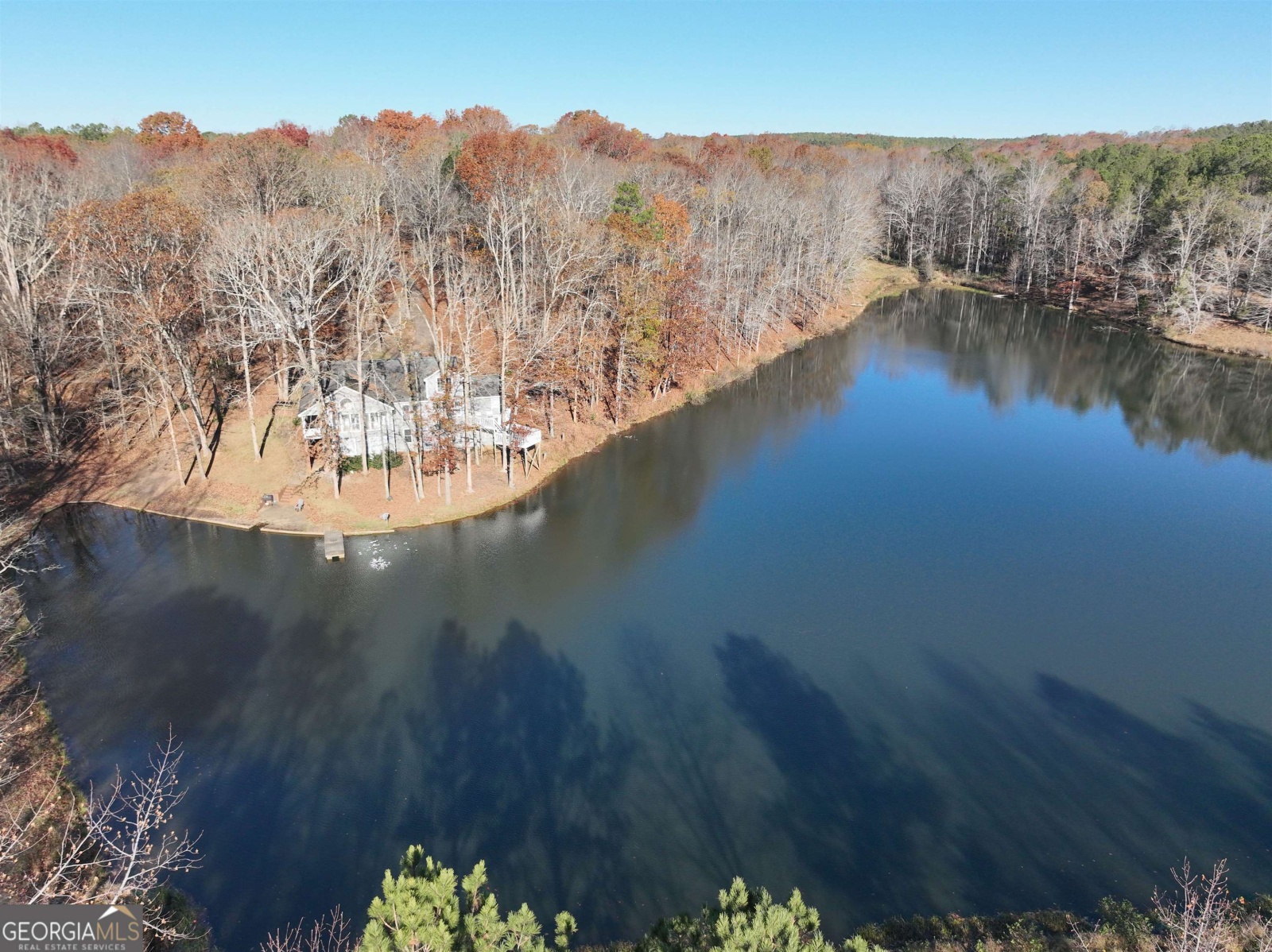 1200 Stoney Point Road, Roopville, Georgia 30170, ,Land,For Sale,Stoney Point,9132677