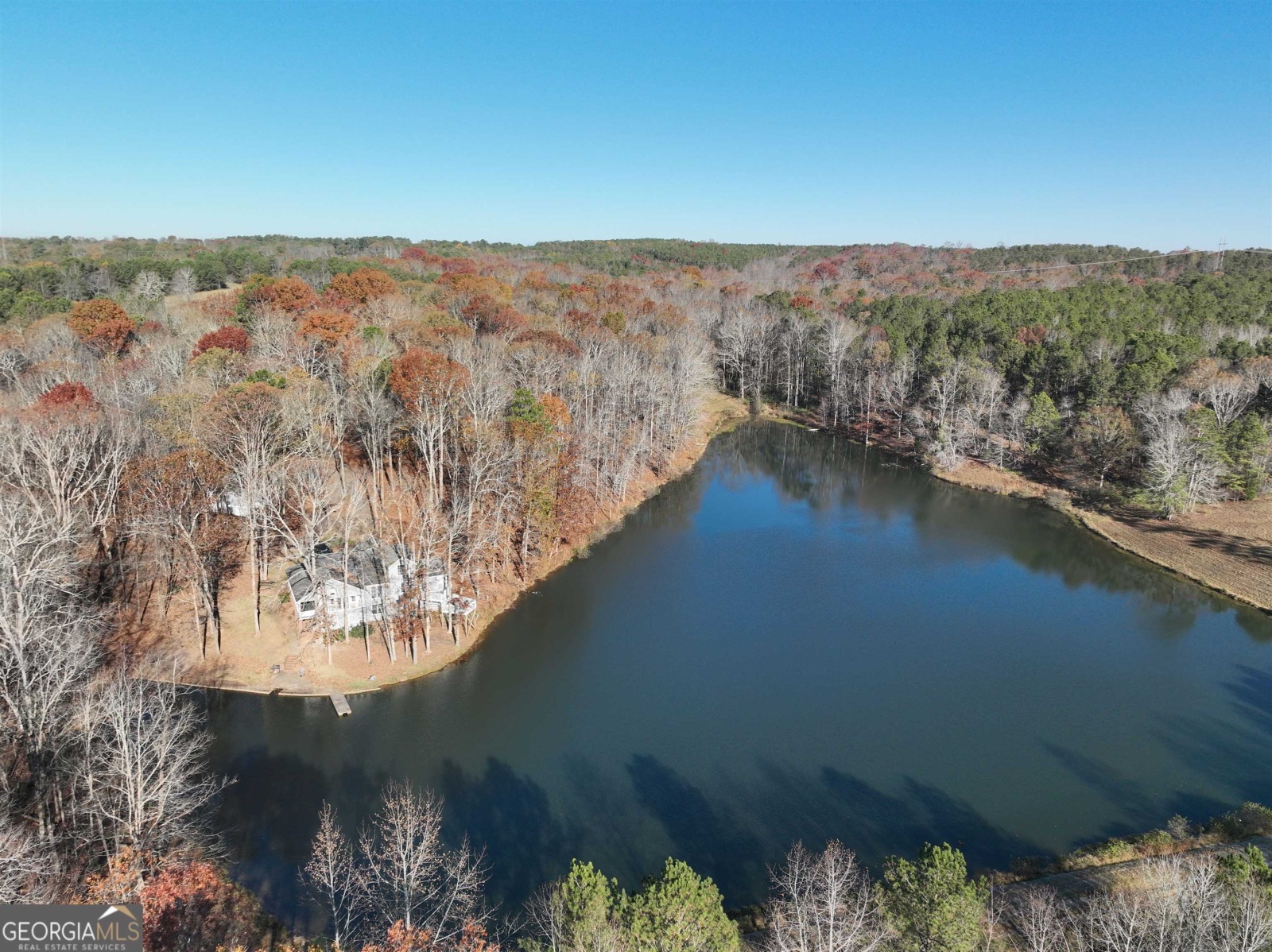 1200 Stoney Point Road, Roopville, Georgia 30170, ,Land,For Sale,Stoney Point,9132677