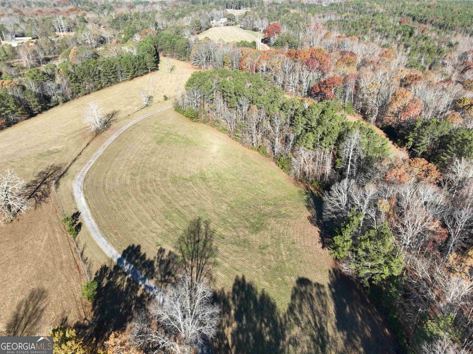 1200 Stoney Point Road, Roopville, Georgia 30170, ,Land,For Sale,Stoney Point,9132677