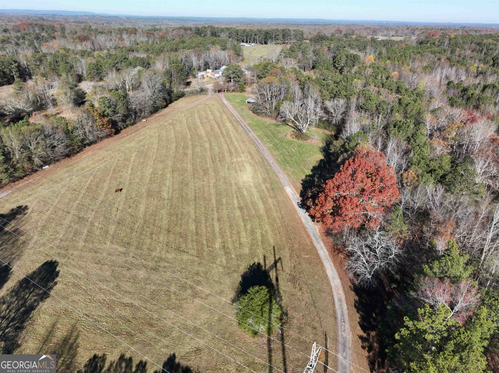 1200 Stoney Point Road, Roopville, Georgia 30170, ,Land,For Sale,Stoney Point,9132677