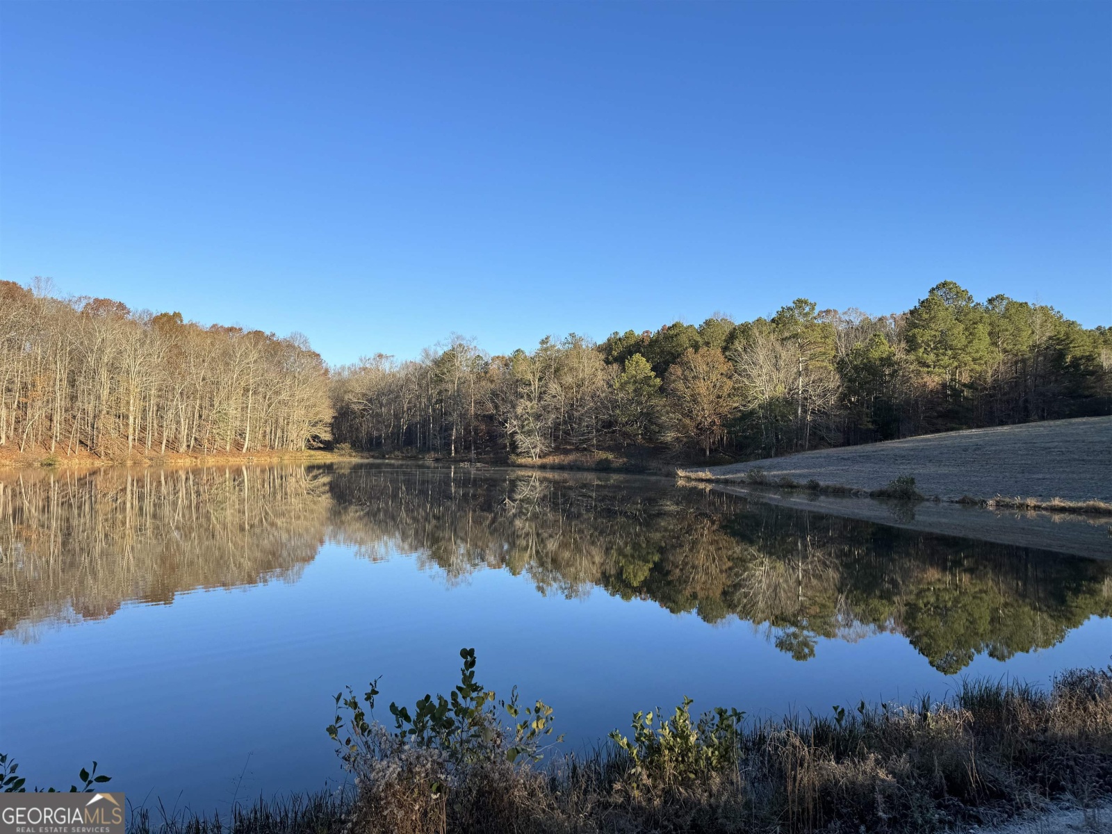 1200 Stoney Point Road, Roopville, Georgia 30170, ,Land,For Sale,Stoney Point,9132677