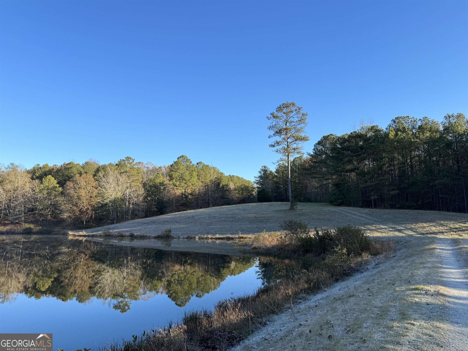 1200 Stoney Point Road, Roopville, Georgia 30170, ,Land,For Sale,Stoney Point,9132677