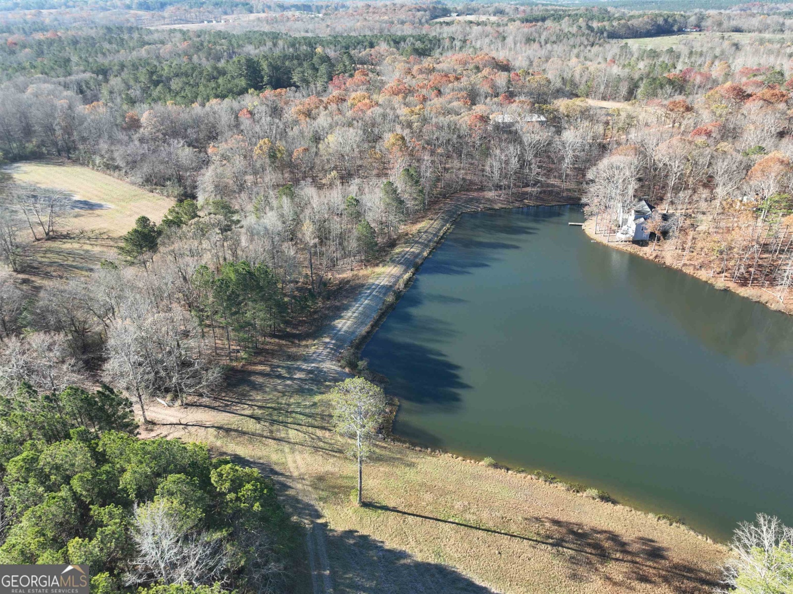 1200 Stoney Point Road, Roopville, Georgia 30170, ,Land,For Sale,Stoney Point,9132677