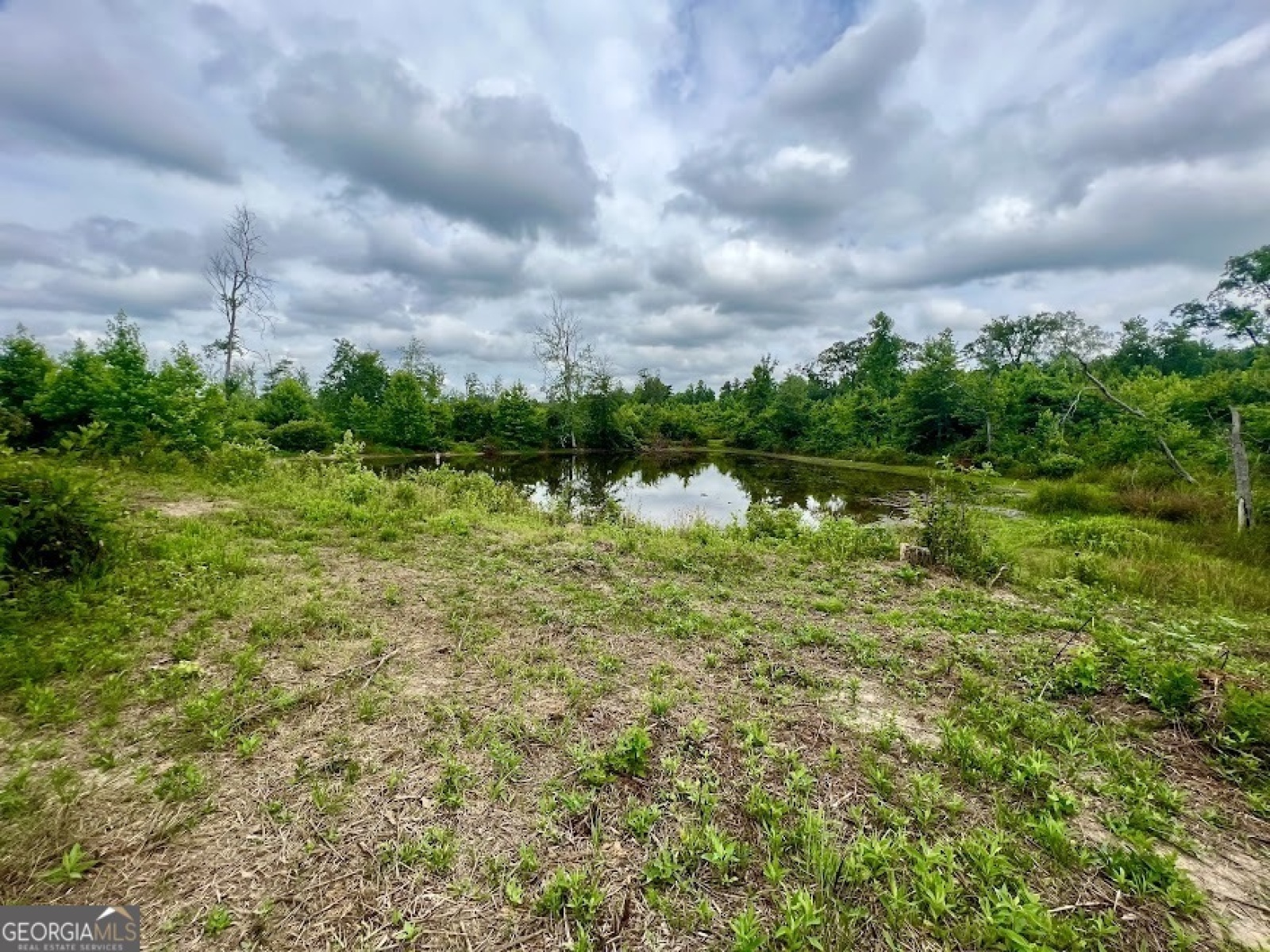 000 Folds Rd (Tract D-22.67ACRES), Carrollton, Georgia 30116, ,Land,For Sale,Folds Rd (Tract D-22.67ACRES),9132766