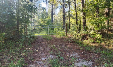 137.36 Lower Blue Springs Road, Hamilton, Georgia 31811, ,Land,For Sale,Lower Blue Springs,9132815