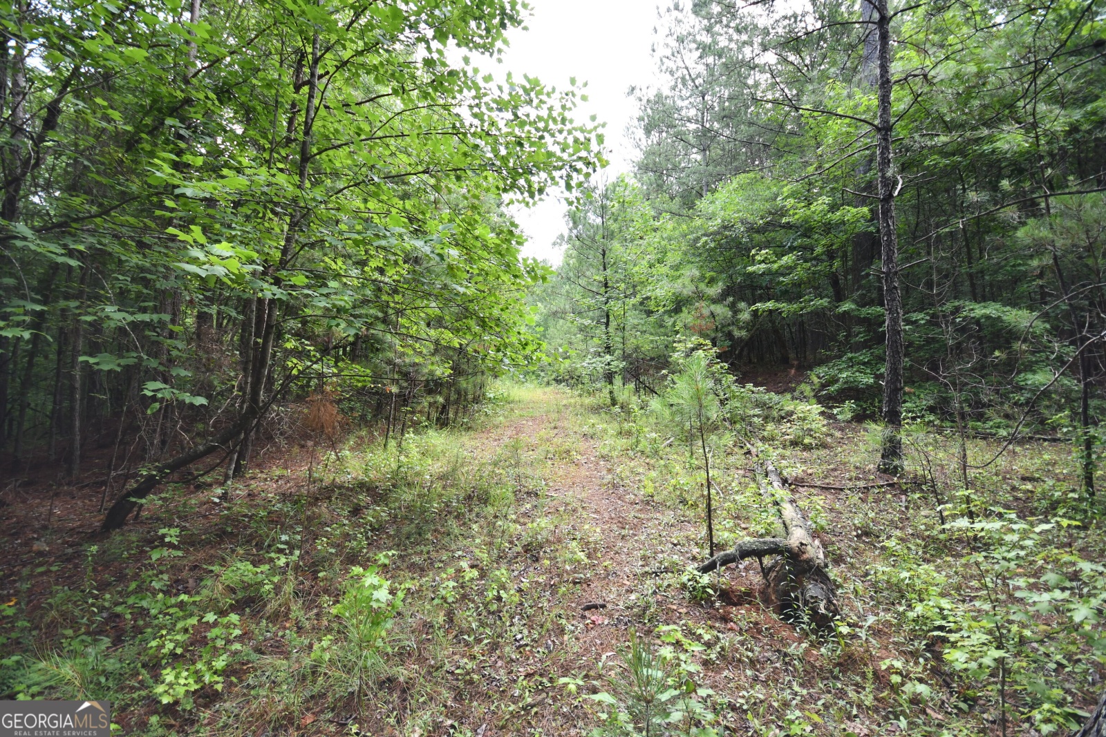 00001 Hutcheson Road, Buchanan, Georgia 30113, ,Land,For Sale,Hutcheson,9132903