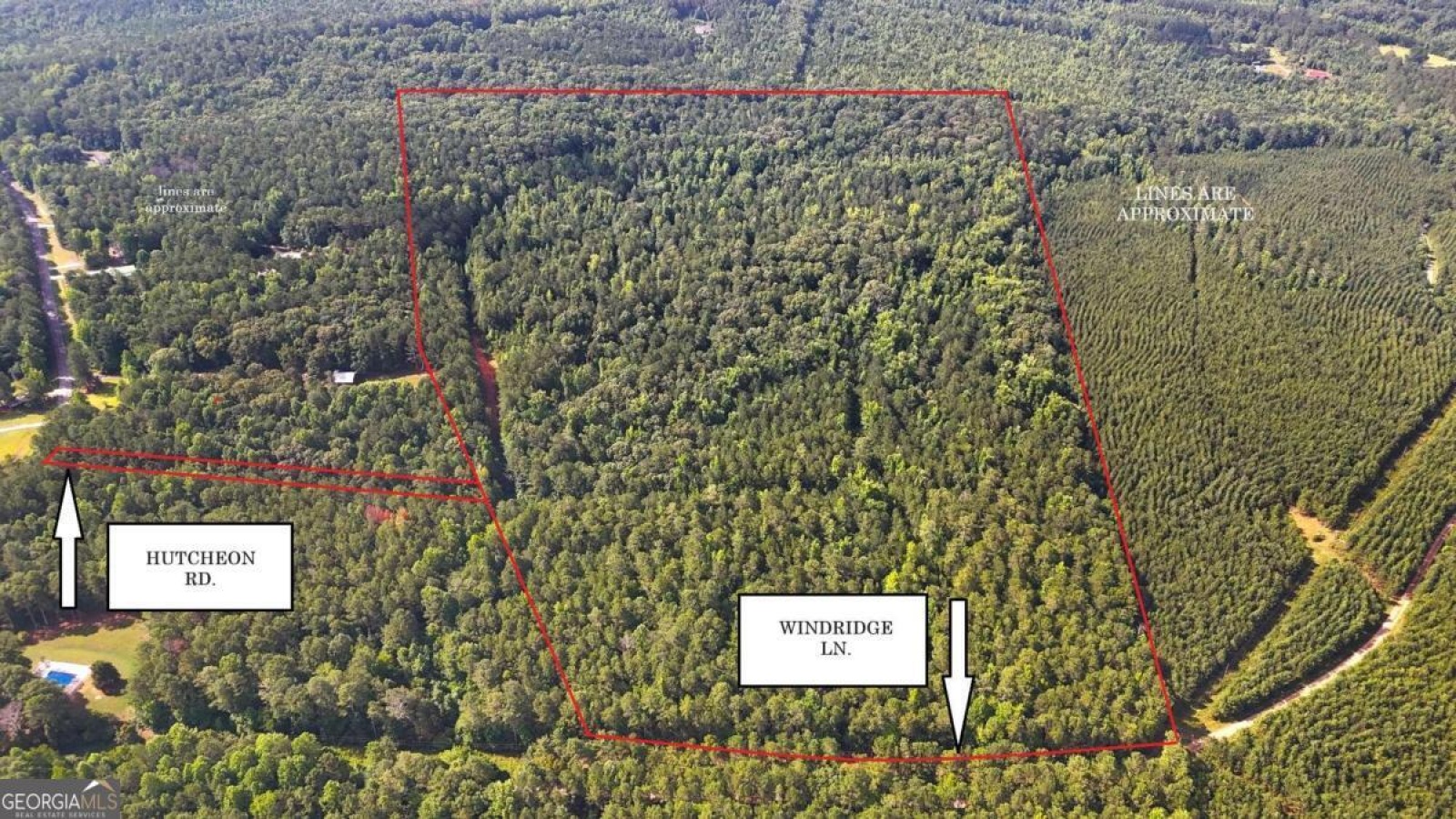 00001 Hutcheson Road, Buchanan, Georgia 30113, ,Land,For Sale,Hutcheson,9132903