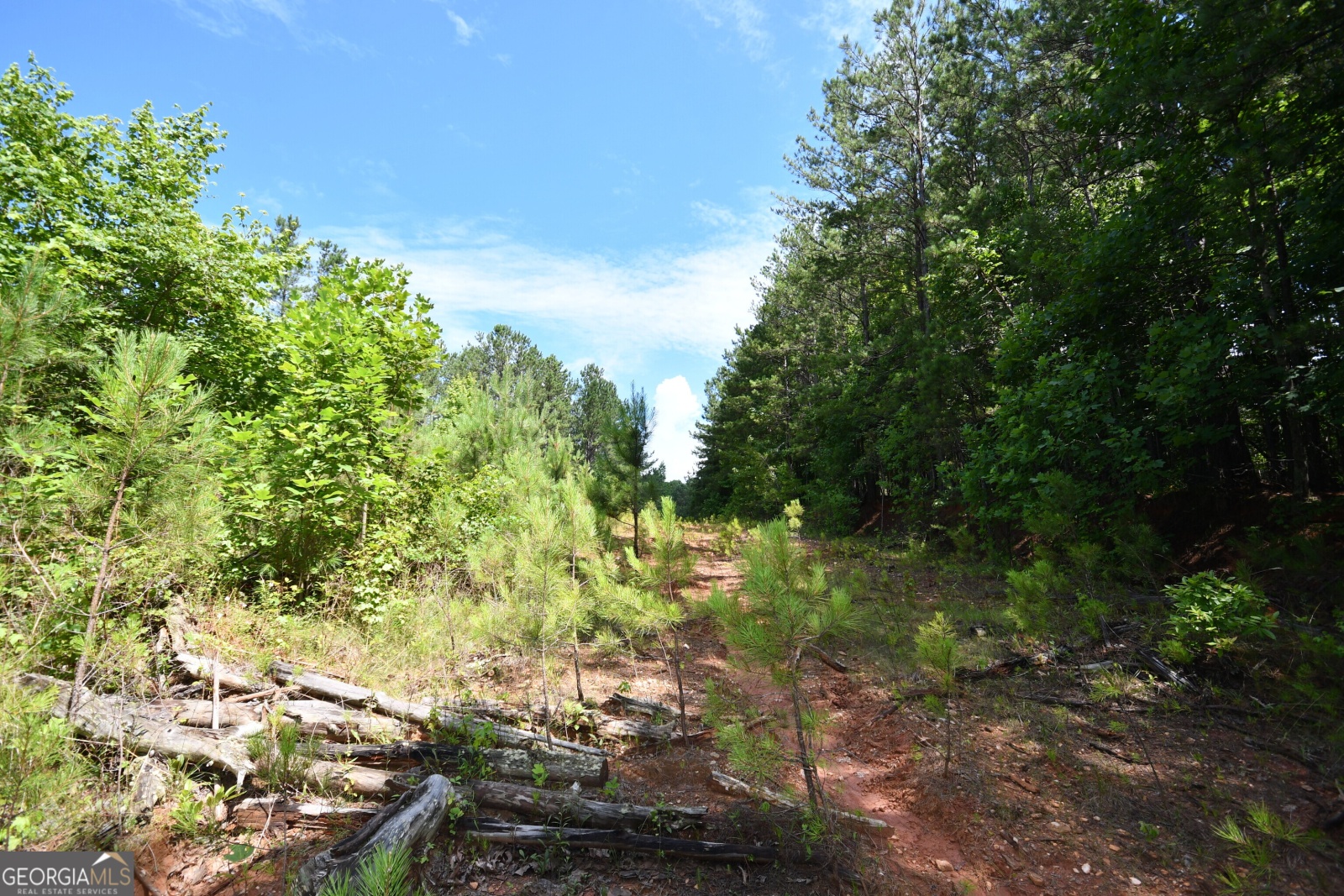 00001 Hutcheson Road, Buchanan, Georgia 30113, ,Land,For Sale,Hutcheson,9132903