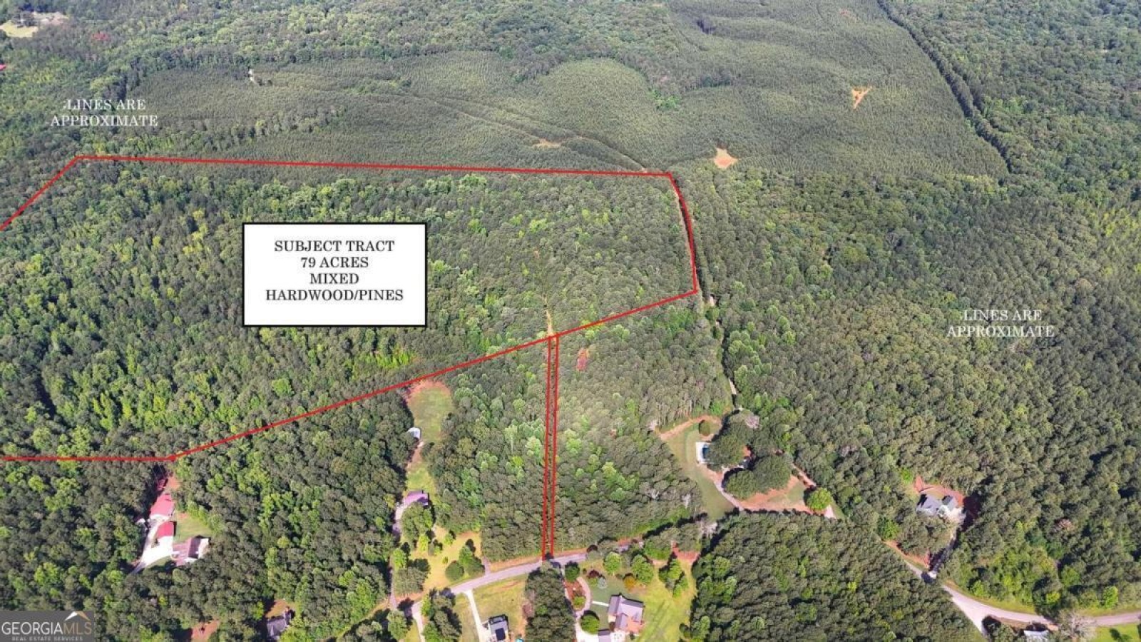 00001 Hutcheson Road, Buchanan, Georgia 30113, ,Land,For Sale,Hutcheson,9132903