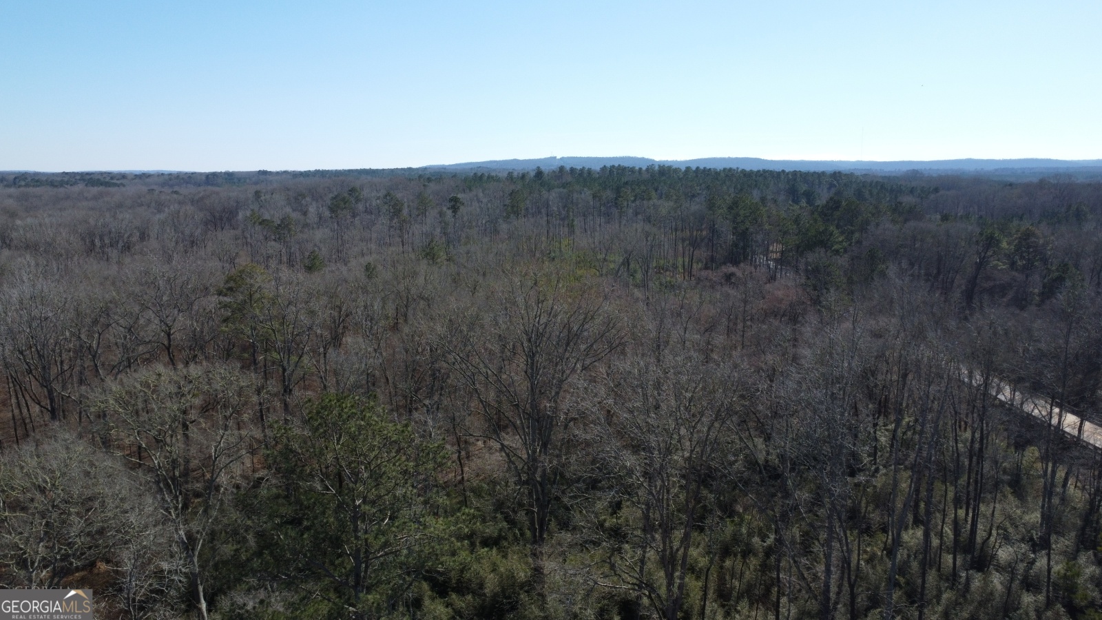 0-2 Roosevelt Highway, Warm Springs, Georgia 31830, ,Land,For Sale,Roosevelt,9132922