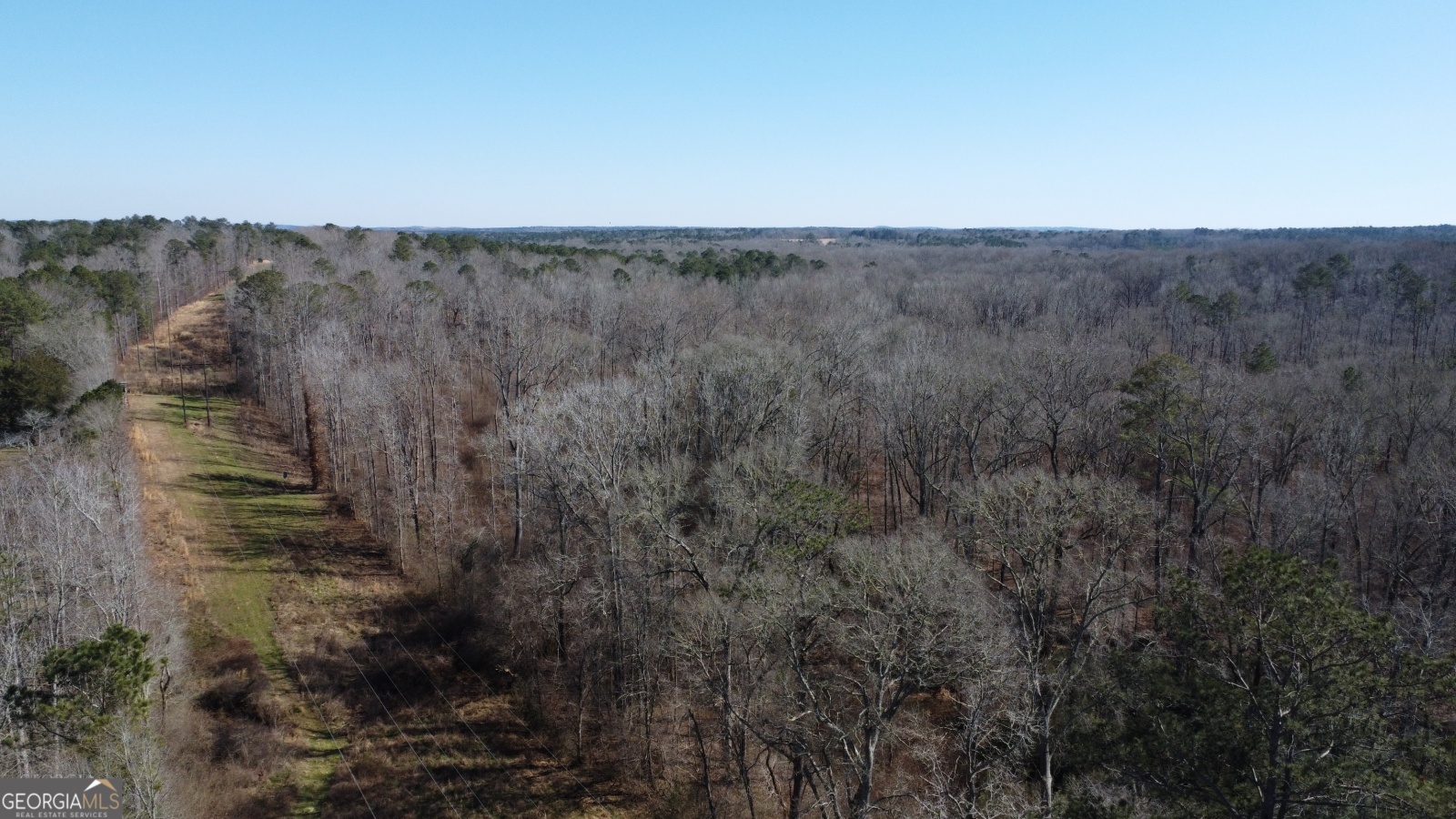 0-2 Roosevelt Highway, Warm Springs, Georgia 31830, ,Land,For Sale,Roosevelt,9132922