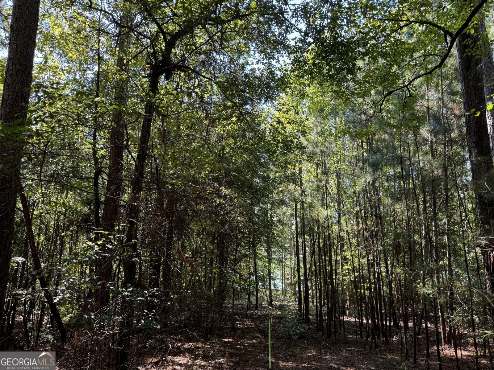 PARCEL 5 Hinton Drive, Hamilton, Georgia 31811, ,Land,For Sale,Hinton,9132956