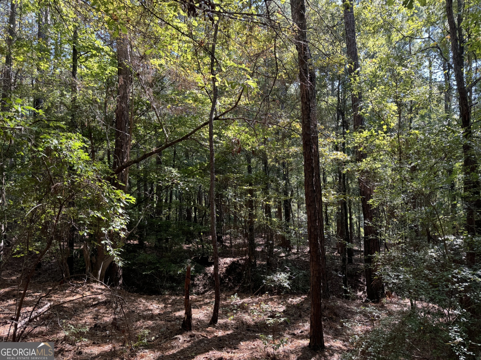 PARCEL 5 Hinton Drive, Hamilton, Georgia 31811, ,Land,For Sale,Hinton,9132956