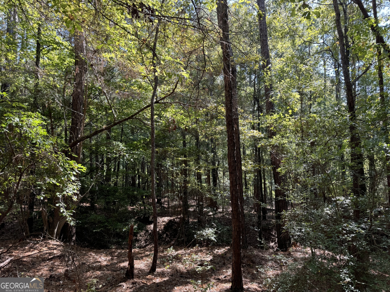 PARCEL 5 Hinton Drive, Hamilton, Georgia 31811, ,Land,For Sale,Hinton,9132956