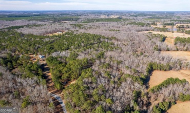 66 Joseph Alver Lane, Warm Springs, Georgia 31830, ,Land,For Sale,Joseph Alver,9134741