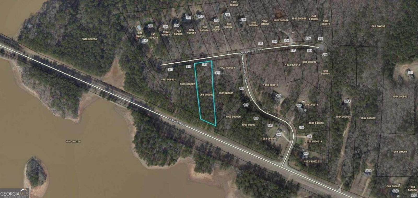 213 Long Cove Drive, Lagrange, Georgia 30240, ,Land,For Sale,Long Cove,9134770