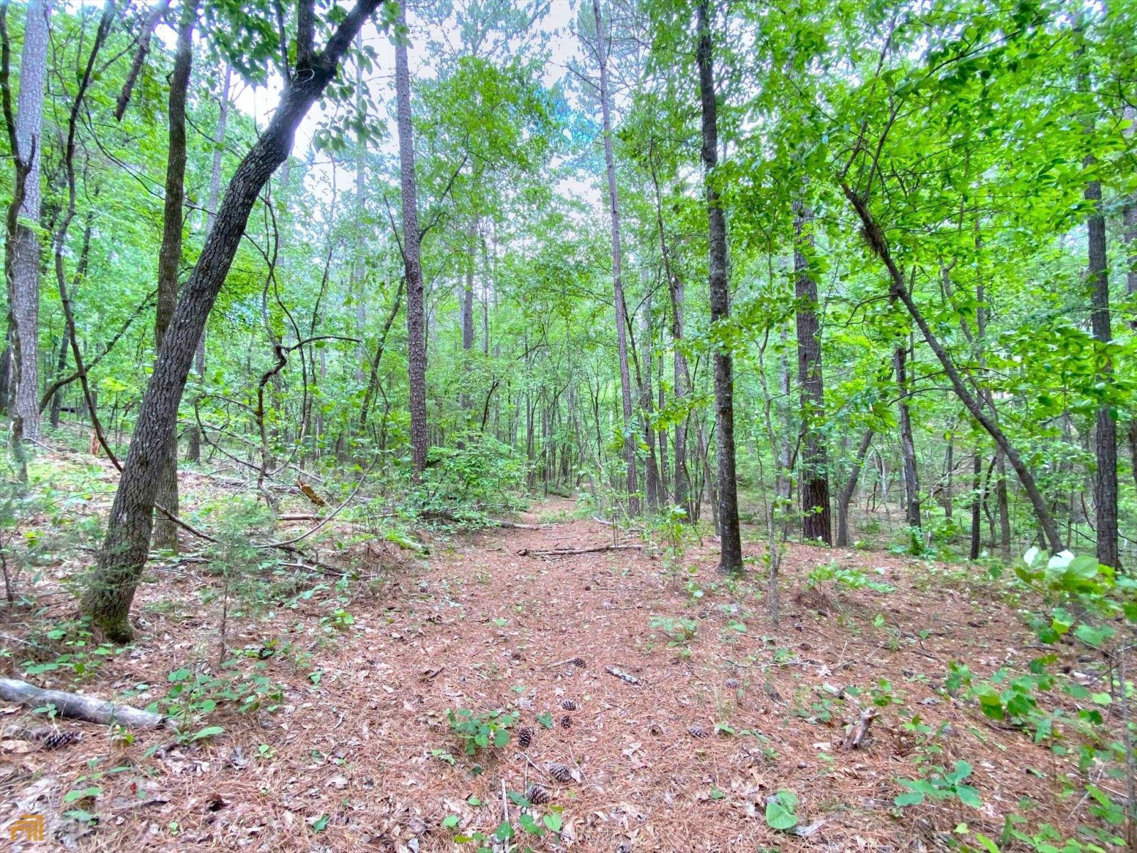 40 Butts Mill Road, Pine Mountain, Georgia 31822, ,Land,For Sale,Butts Mill,9134805