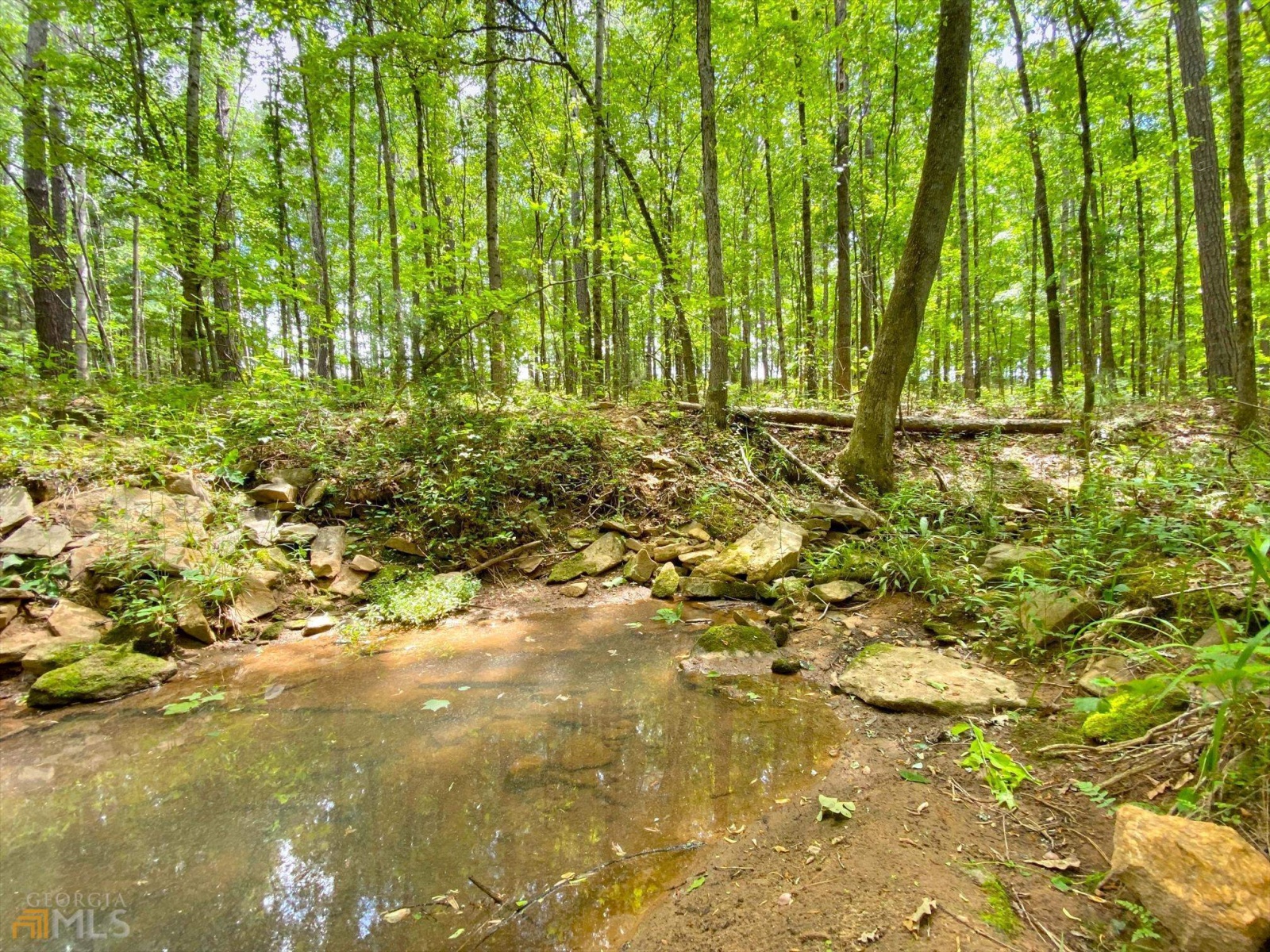 40 Butts Mill Road, Pine Mountain, Georgia 31822, ,Land,For Sale,Butts Mill,9134805