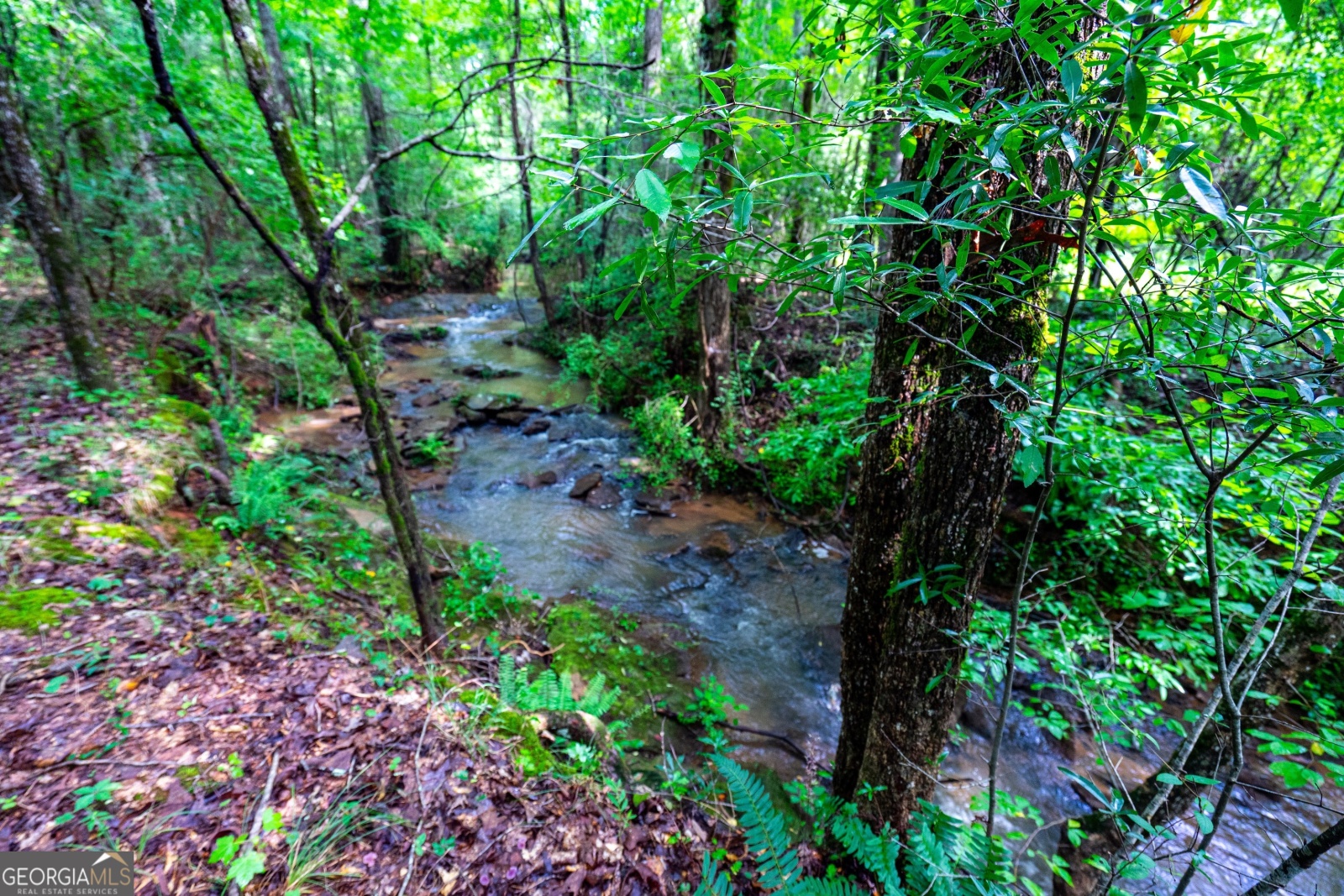 0 Briley Road, Lagrange, Georgia 30241, ,Land,For Sale,Briley Road,9134852