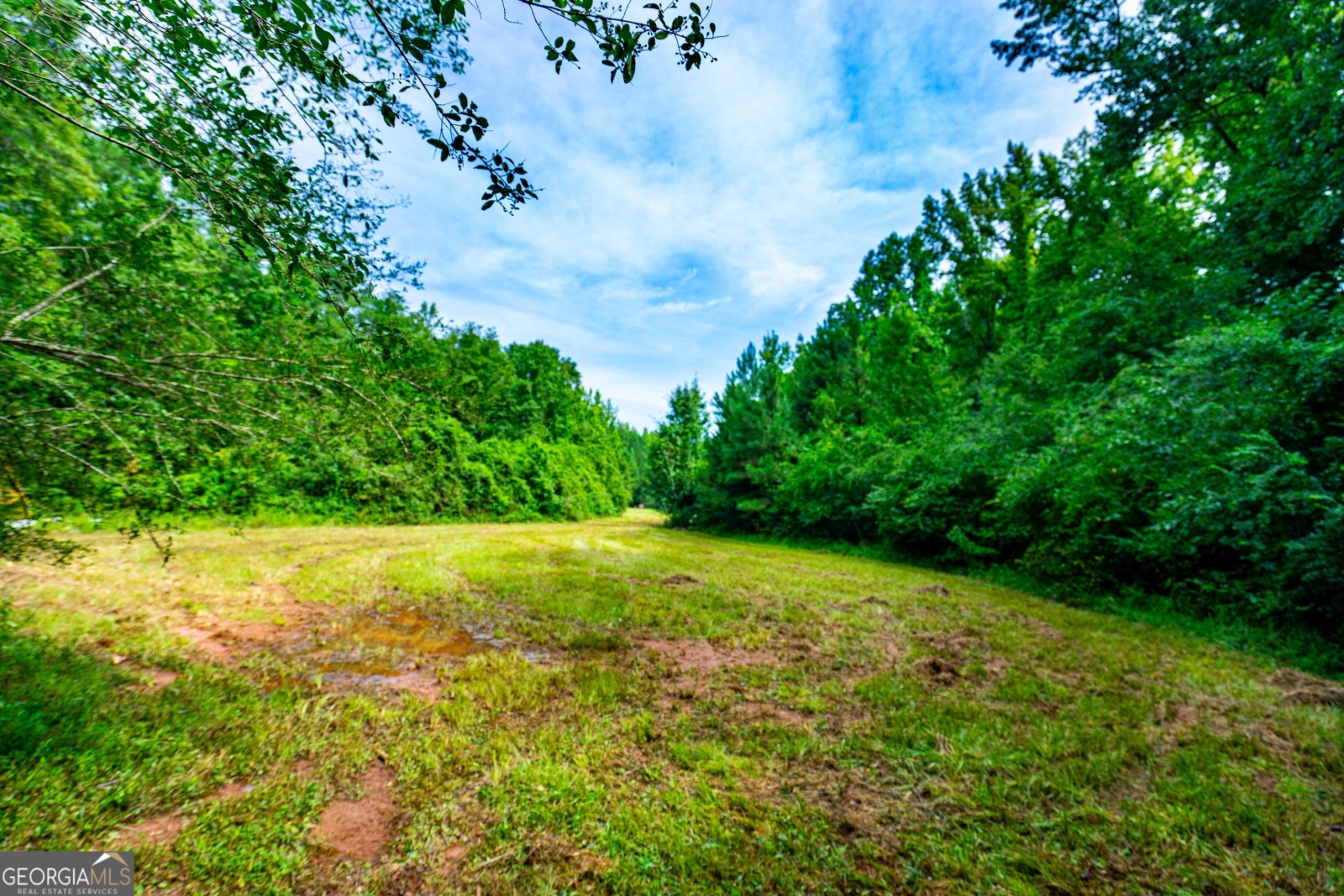 0 Briley Road, Lagrange, Georgia 30241, ,Land,For Sale,Briley Road,9134852