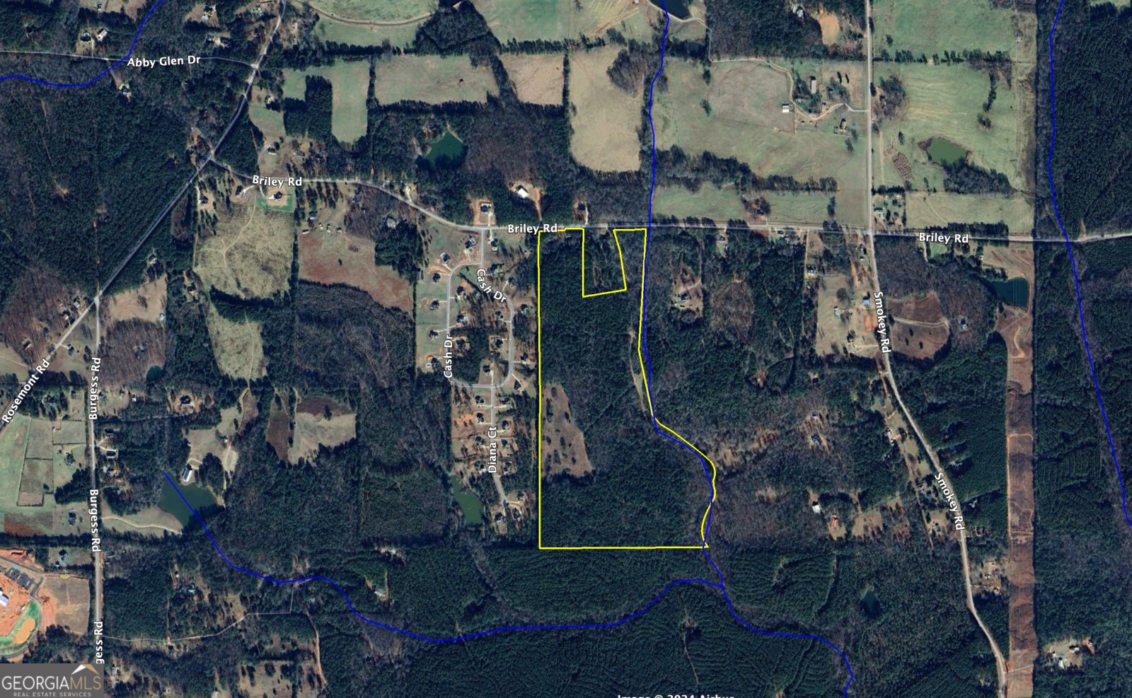 0 Briley Road, Lagrange, Georgia 30241, ,Land,For Sale,Briley Road,9134852