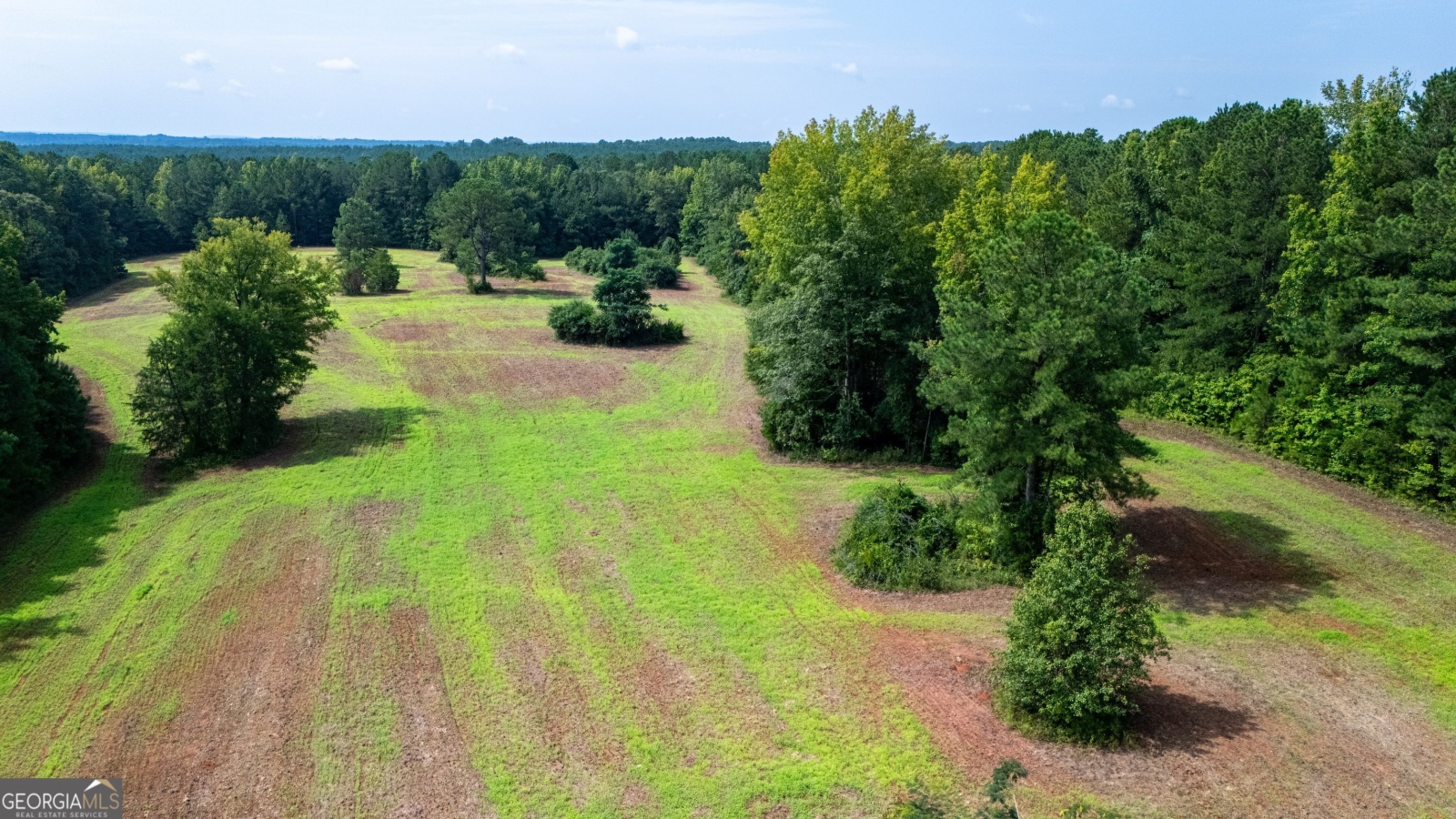 0 Briley Road, Lagrange, Georgia 30241, ,Land,For Sale,Briley Road,9134852