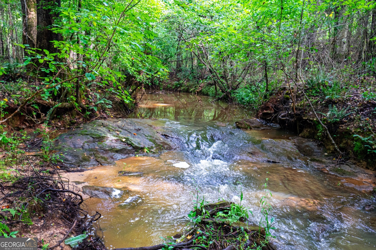 0 Briley Road, Lagrange, Georgia 30241, ,Land,For Sale,Briley Road,9134852