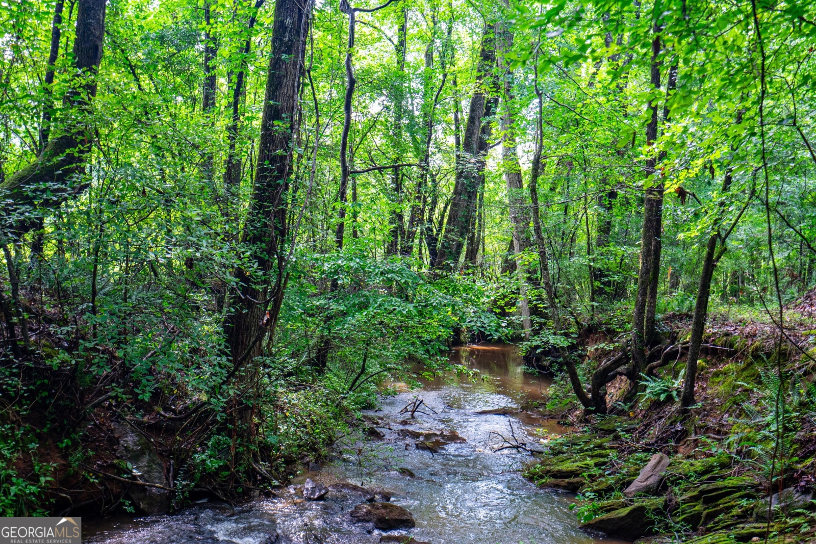 0 Briley Road, Lagrange, Georgia 30241, ,Land,For Sale,Briley Road,9134852