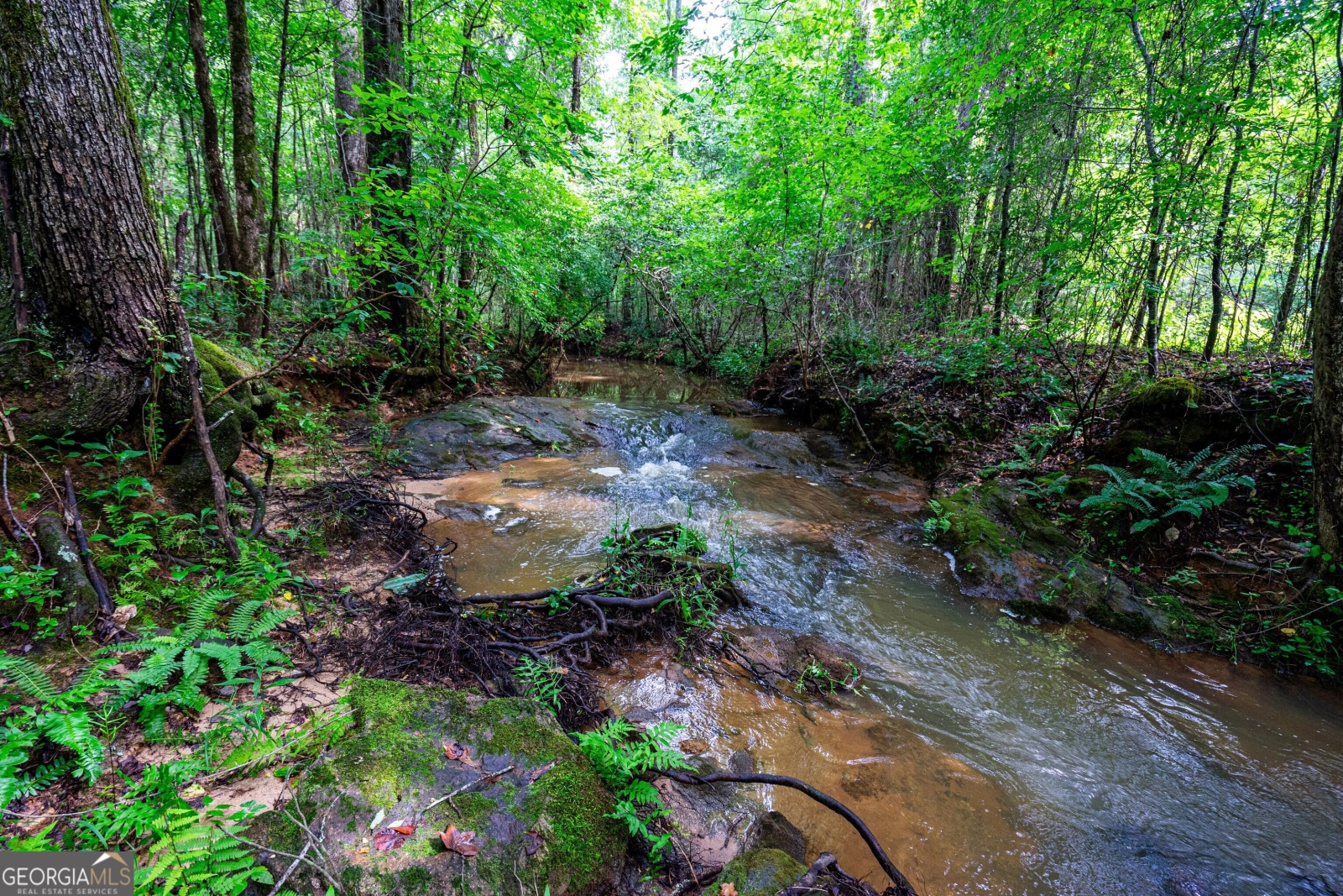 0 Briley Road, Lagrange, Georgia 30241, ,Land,For Sale,Briley Road,9134852