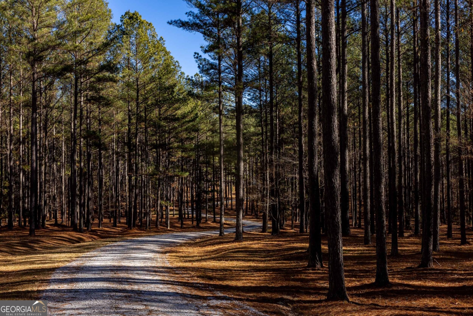 511 Chewning Road, Lagrange, Georgia 30240, ,Land,For Sale,Chewning,9135364