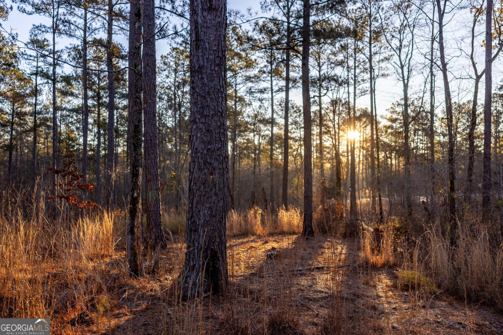 511 Chewning Road, Lagrange, Georgia 30240, ,Land,For Sale,Chewning,9135364