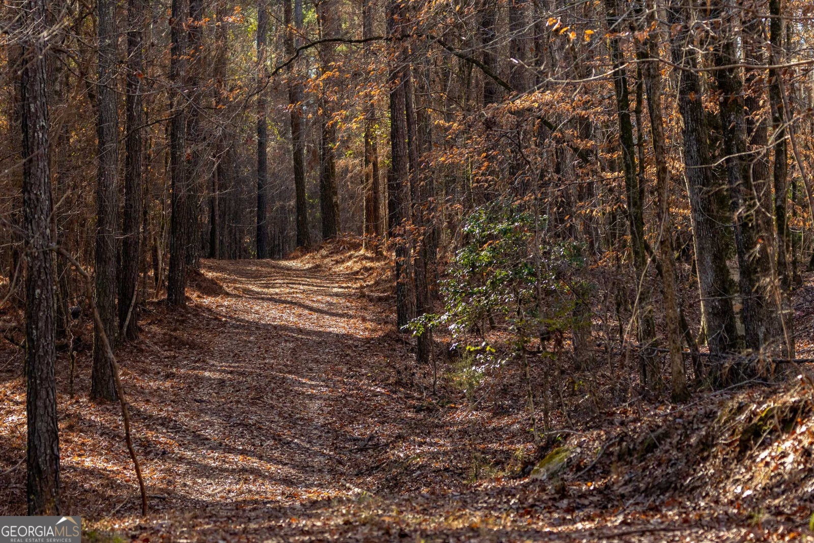 511 Chewning Road, Lagrange, Georgia 30240, ,Land,For Sale,Chewning,9135364