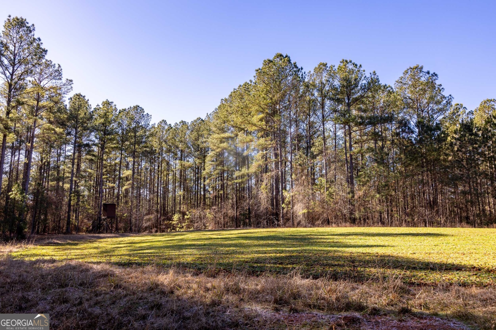 511 Chewning Road, Lagrange, Georgia 30240, ,Land,For Sale,Chewning,9135364